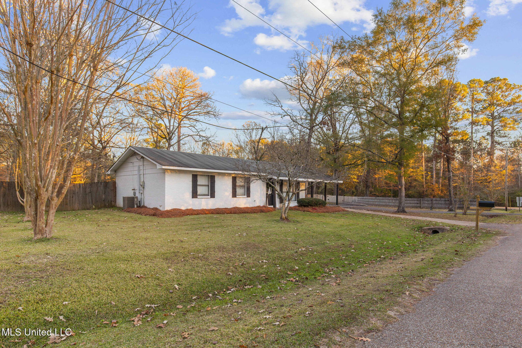 1005 Raintree Drive North Pelahatchie, MS 39145 - Photo 6 of 34 2-web-or-mls-1005 N Raintree-2
