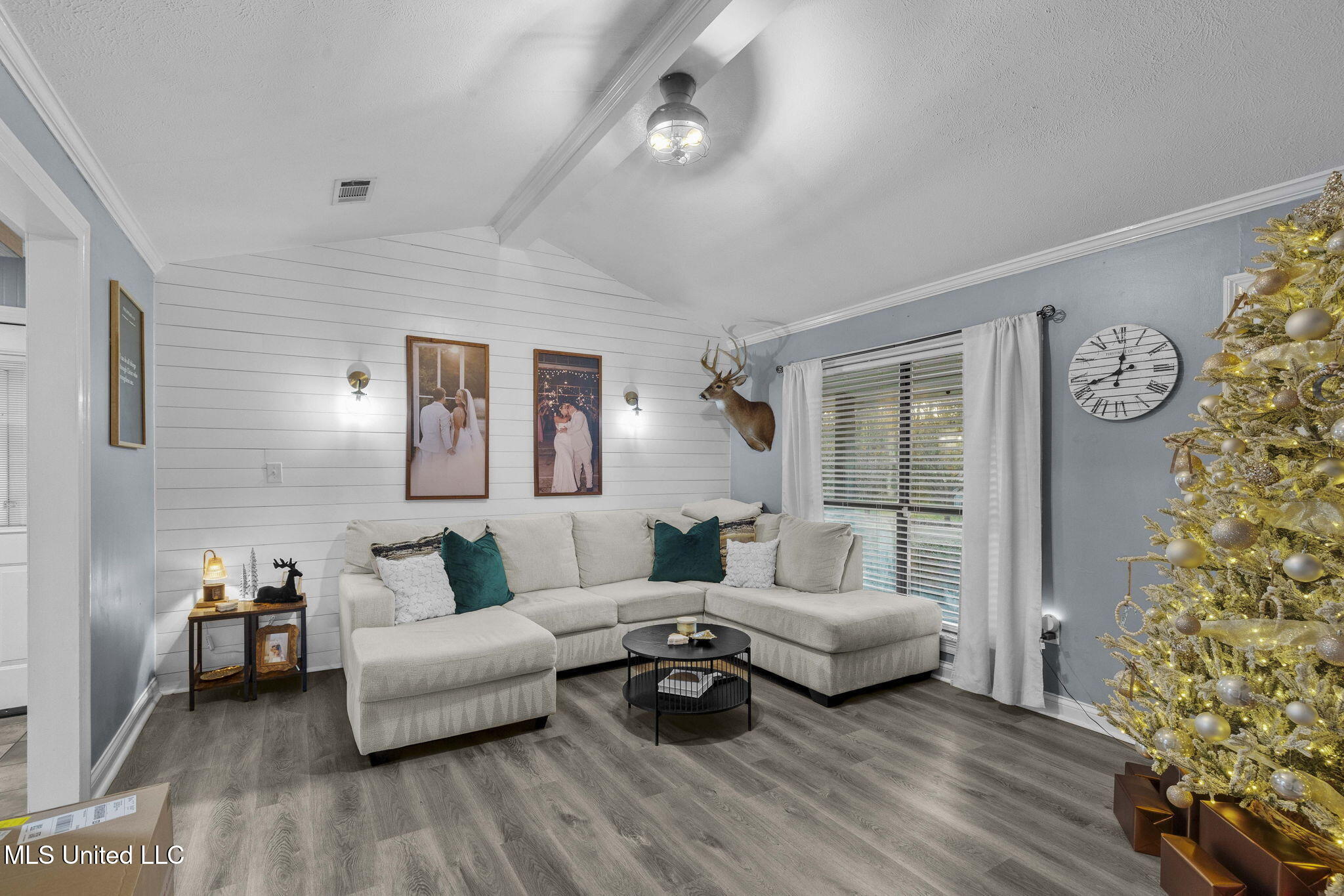 1005 Raintree Drive North Pelahatchie, MS 39145 - Photo 9 of 34 7-web-or-mls-1005 N Raintree-7