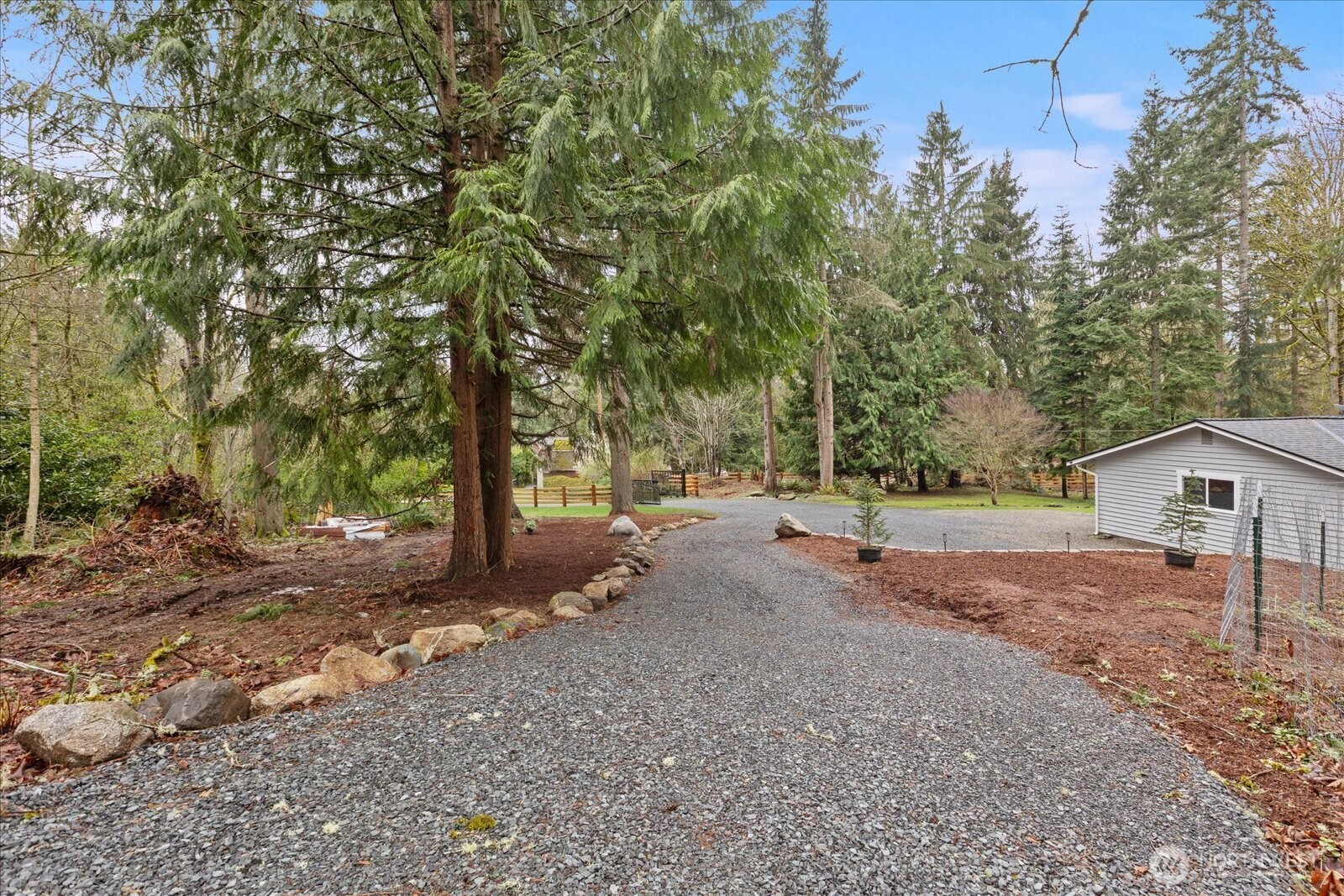 13425 North Echo Lake Road Snohomish, WA 98296 - Photo 34 of 39 a view of a tree in the middle of a yard
