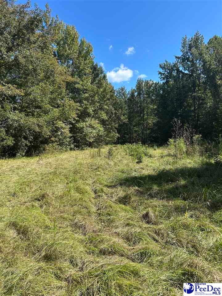 Tbd East Tbd E Friendfield Road Coward, SC 29530 - Photo 29 of 35 Gallery Image 29