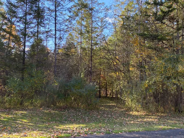 a view of a lake view