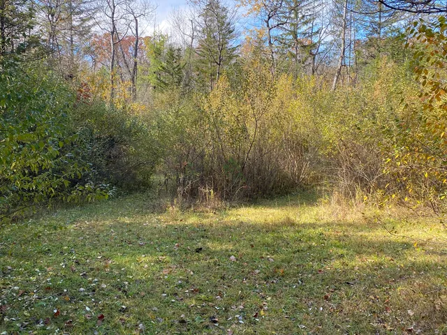 a view of outdoor space and yard