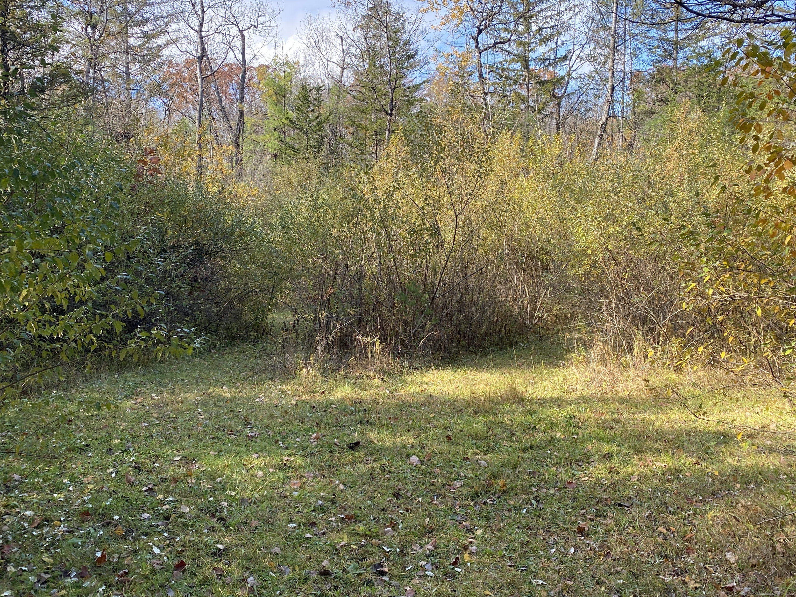 0 North Elm Street Canaan, CT 06018 - Photo 4 of 6