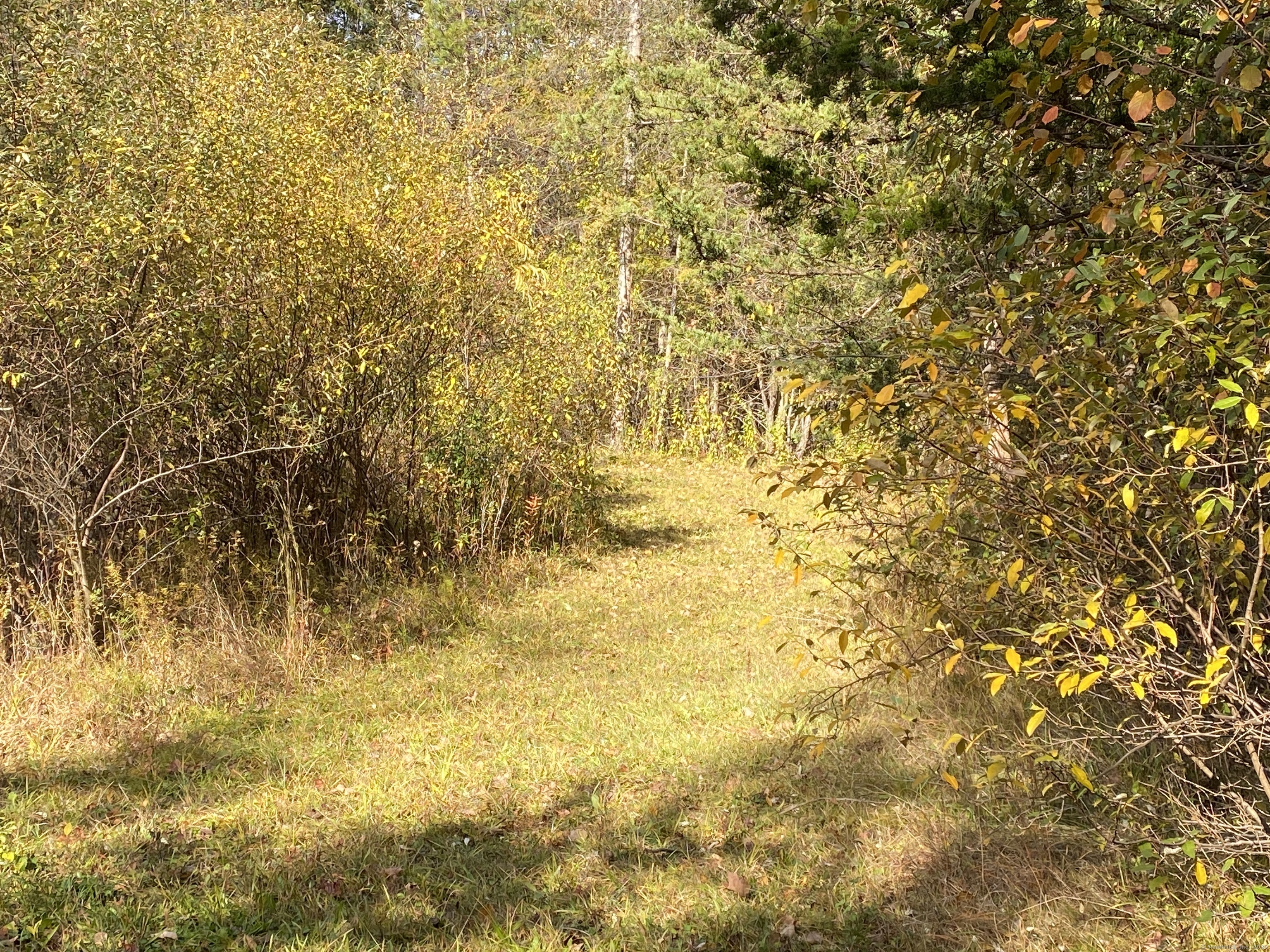 0 North Elm Street Canaan, CT 06018 - Photo 5 of 6