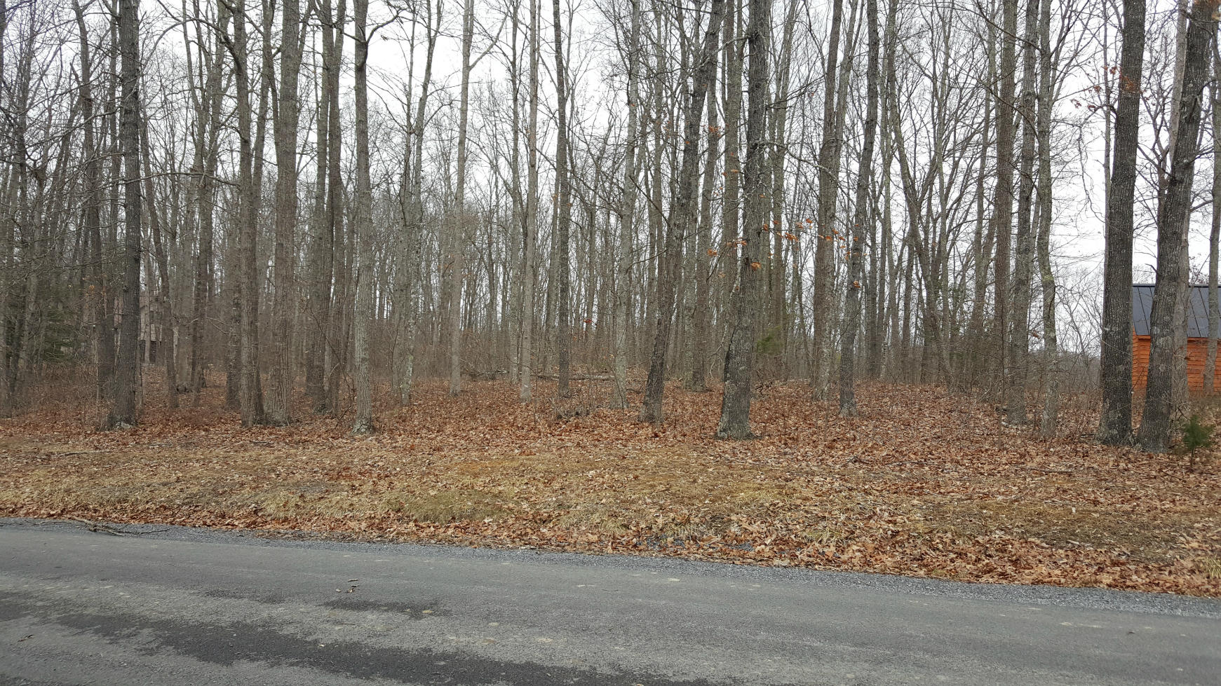 Broken Star Acres Road Lewisburg, WV 24901 - Photo 8 of 8 Gallery Image 8