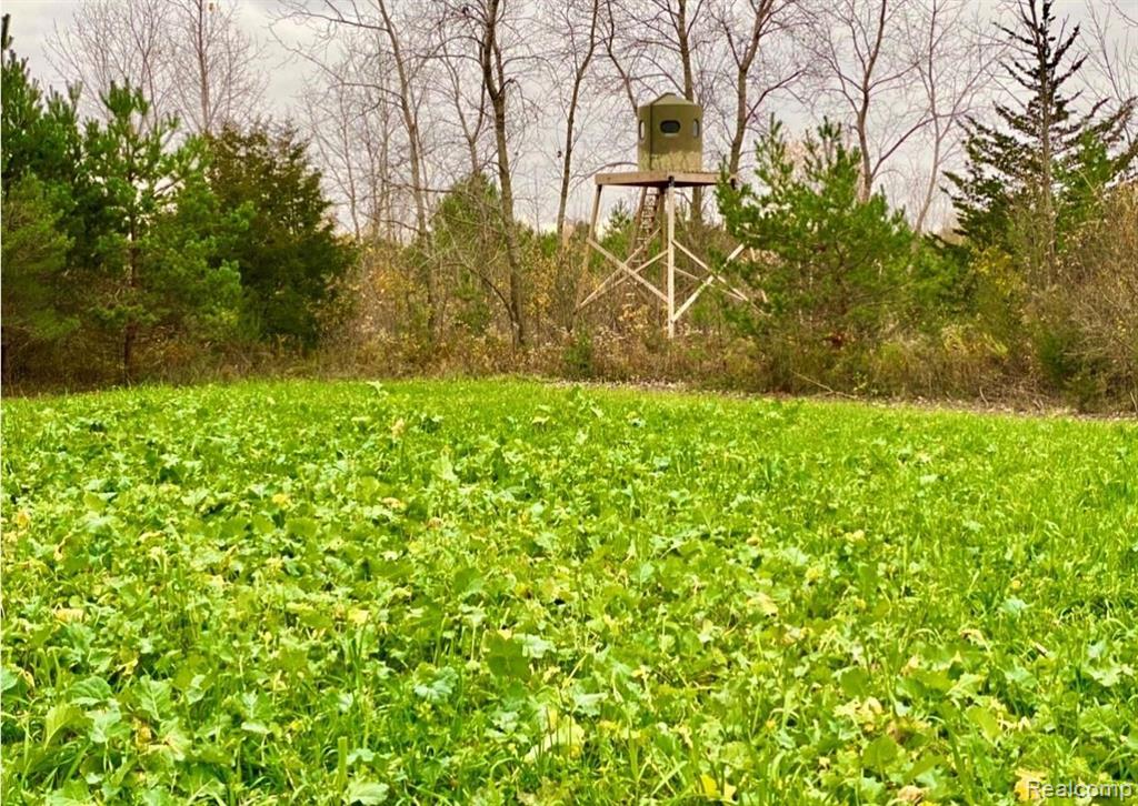 V/l Kelly Road Flushing, MI 48433 - Photo 23 of 23