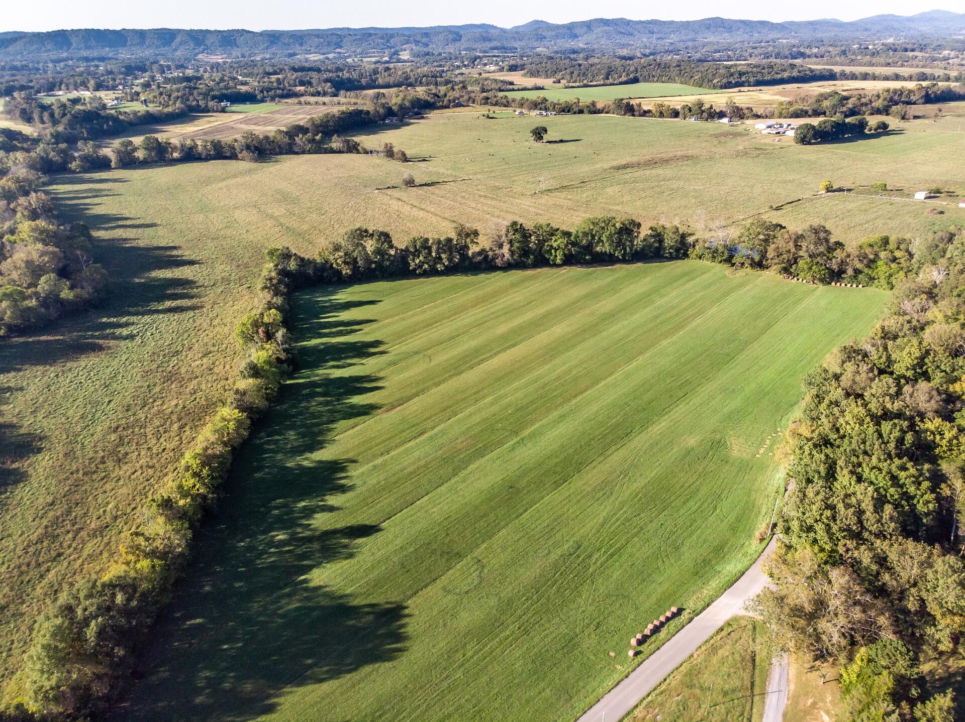 1530 Bales Road Mosheim, TN 37818 - Photo 102 of 173 1530IronBridgeM-air_009