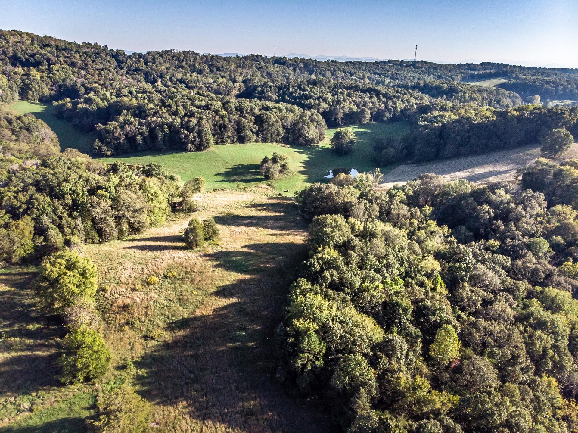 1530 Bales Road Mosheim, TN 37818 - Photo 110 of 173 1530IronBridgeM-air_017