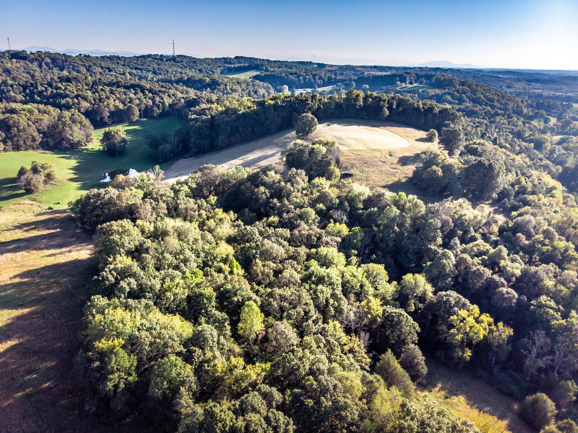 1530 Bales Road Mosheim, TN 37818 - Photo 111 of 173 1530IronBridgeM-air_018