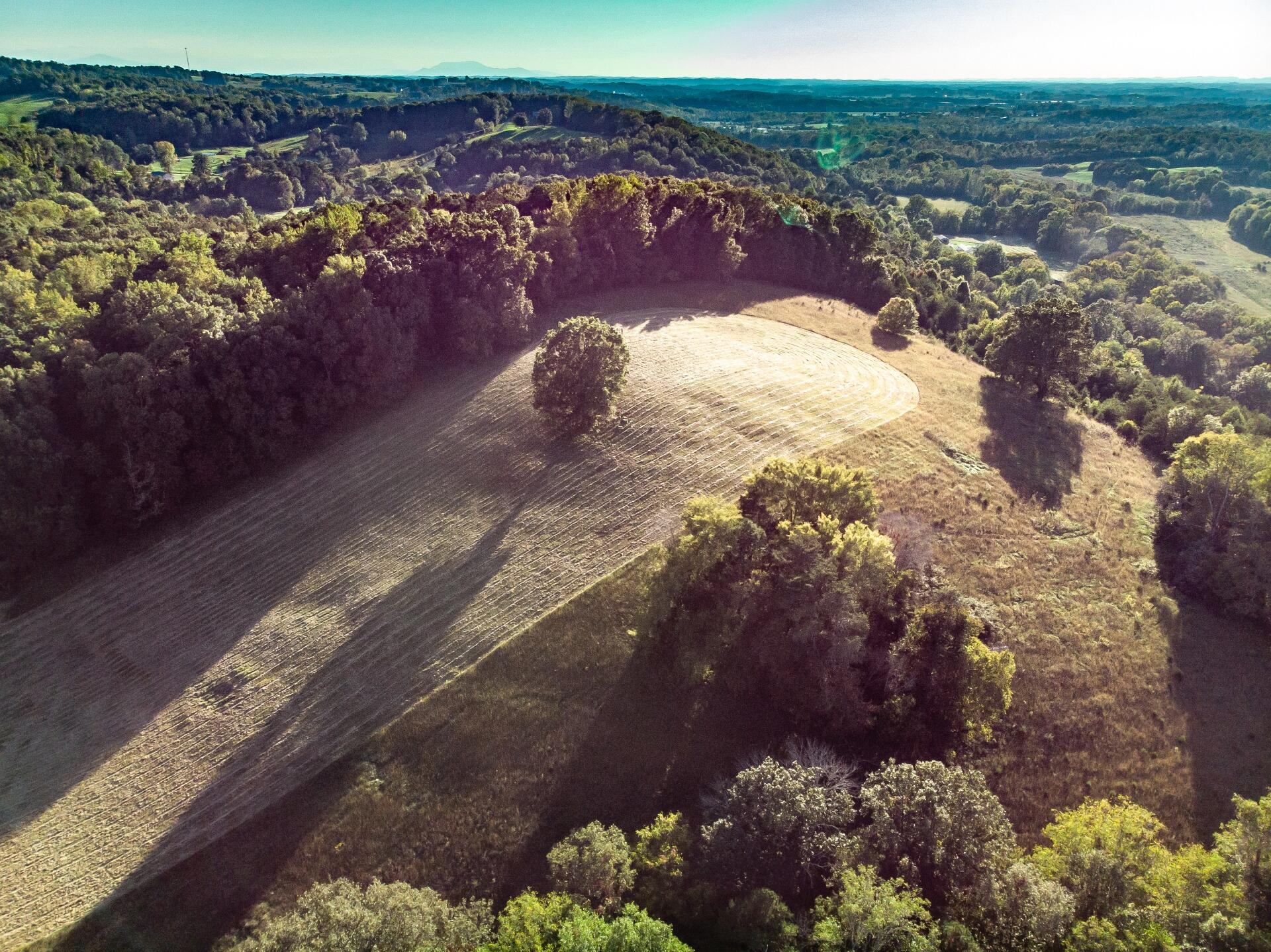 1530 Bales Road Mosheim, TN 37818 - Photo 112 of 173 1530IronBridgeM-air_019