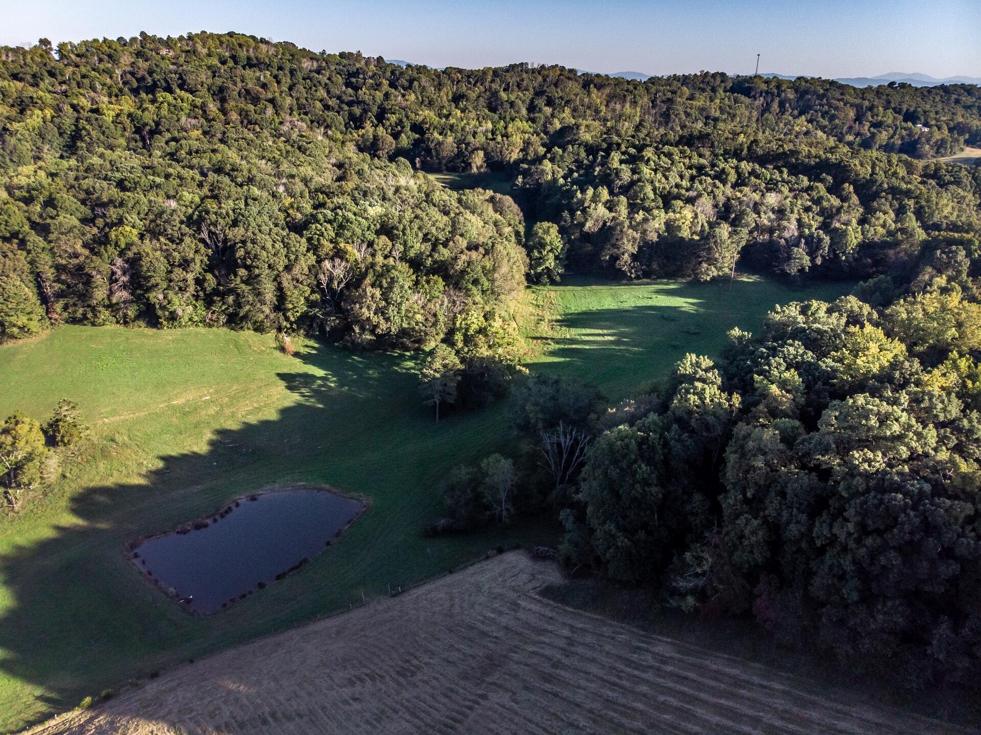 1530 Bales Road Mosheim, TN 37818 - Photo 113 of 173 1530IronBridgeM-air_020