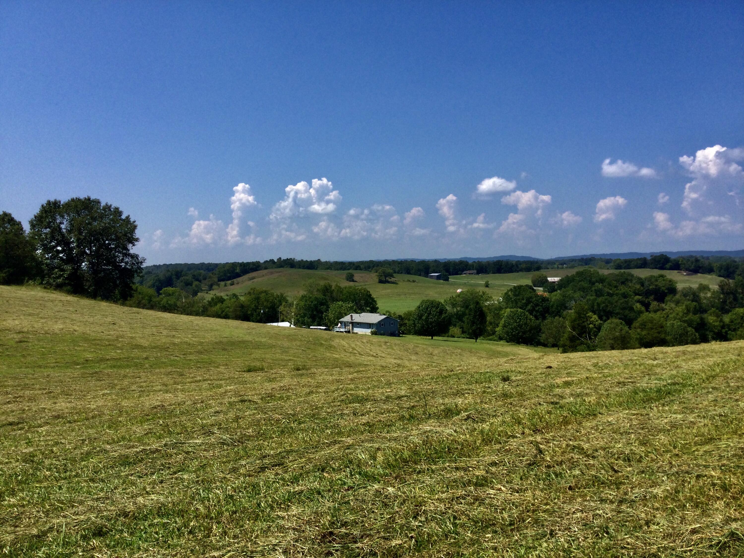 1530 Bales Road Mosheim, TN 37818 - Photo 118 of 173 IMG_2395