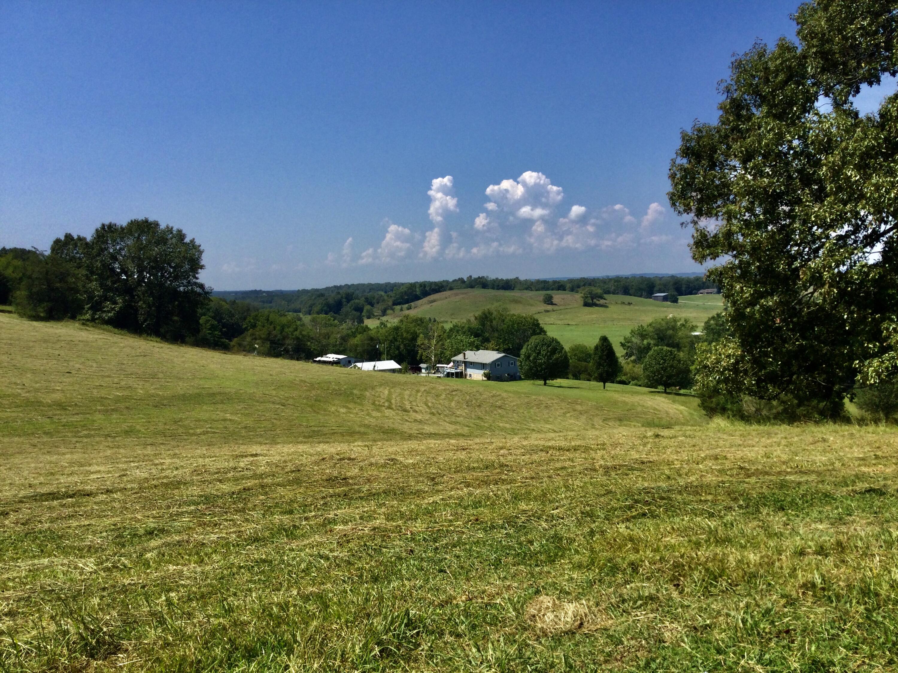 1530 Bales Road Mosheim, TN 37818 - Photo 122 of 173 IMG_2399