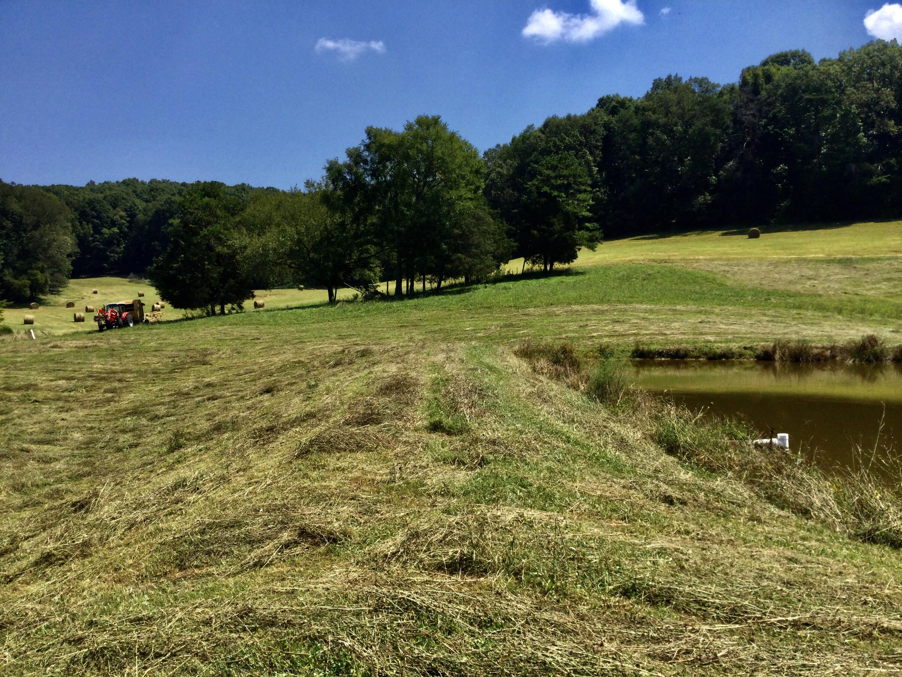 1530 Bales Road Mosheim, TN 37818 - Photo 125 of 173 IMG_2402