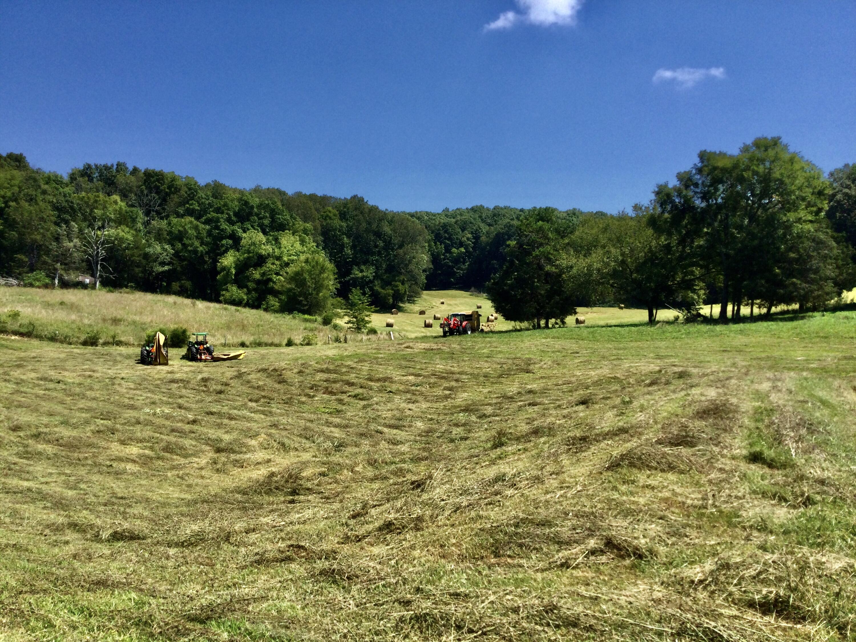 1530 Bales Road Mosheim, TN 37818 - Photo 126 of 173 IMG_2403