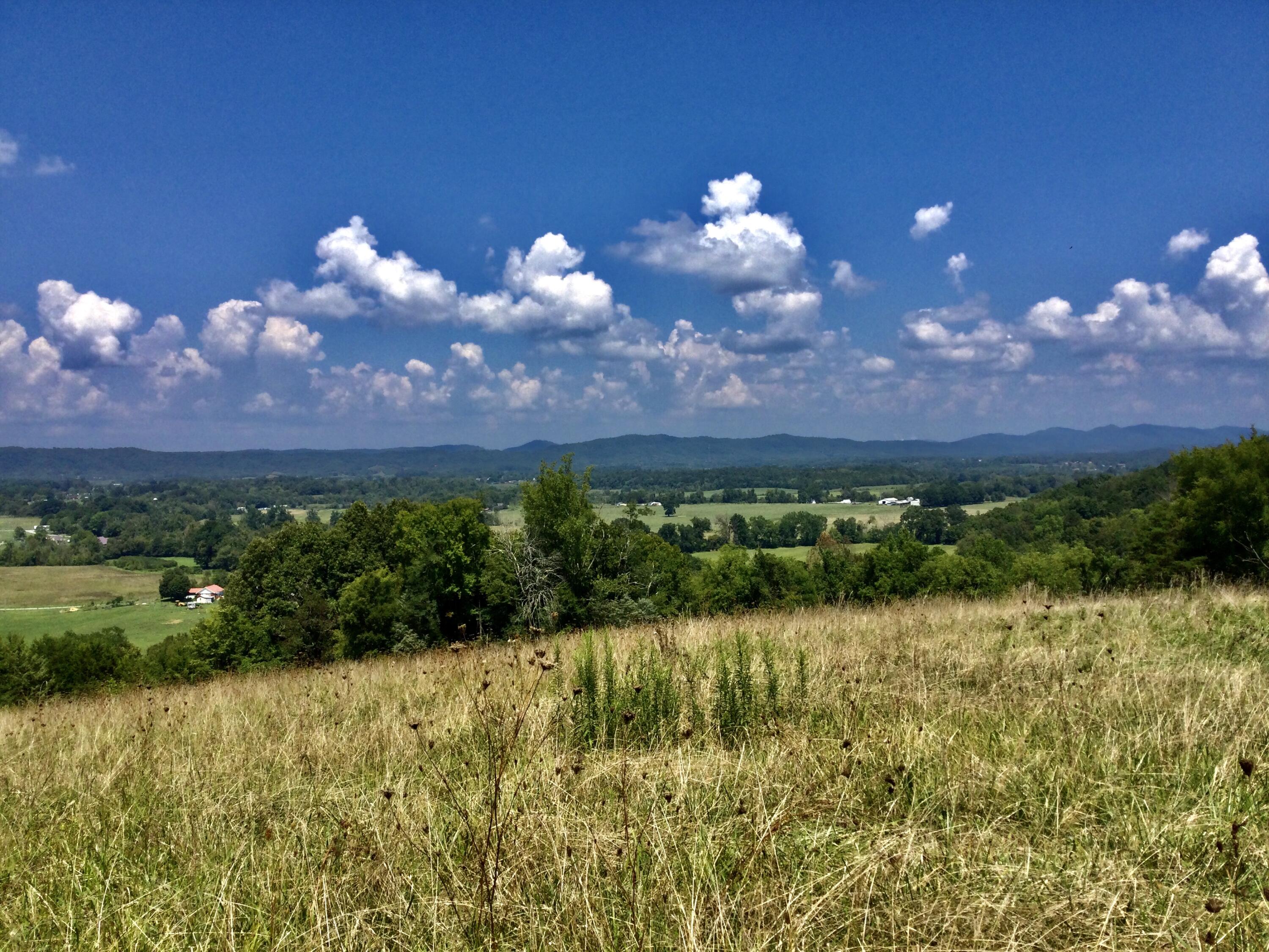 1530 Bales Road Mosheim, TN 37818 - Photo 130 of 173 IMG_2408