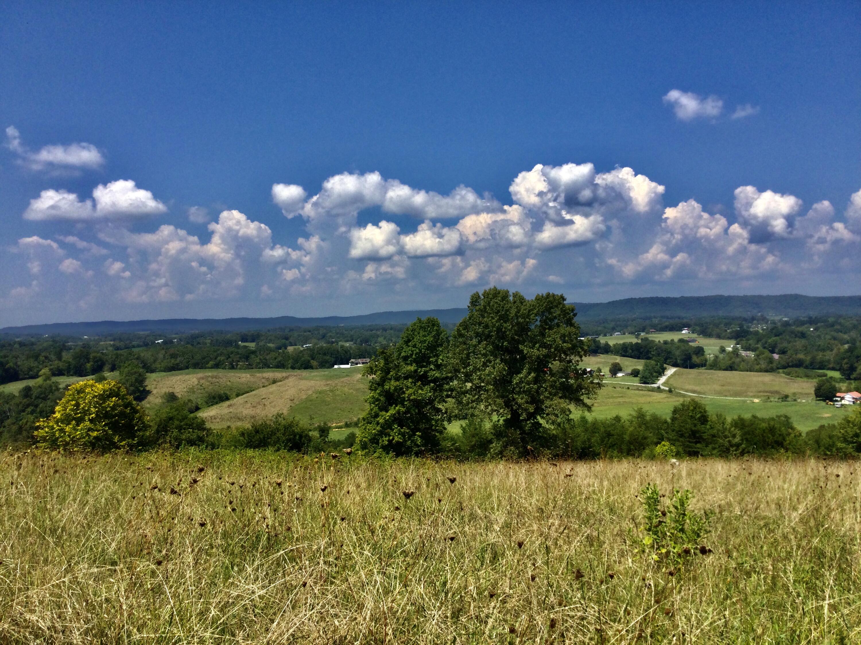 1530 Bales Road Mosheim, TN 37818 - Photo 131 of 173 IMG_2409
