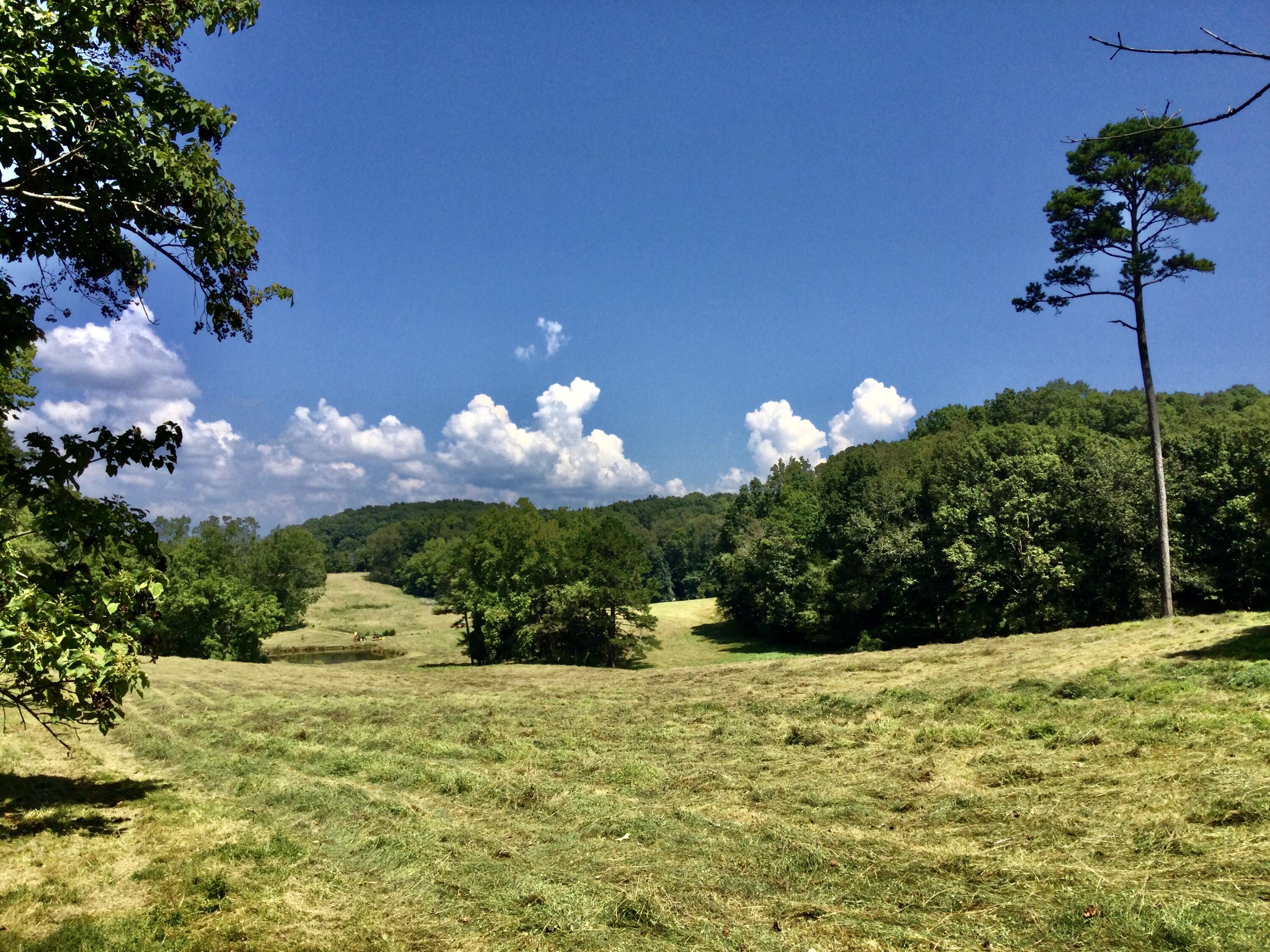 1530 Bales Road Mosheim, TN 37818 - Photo 134 of 173 IMG_2414