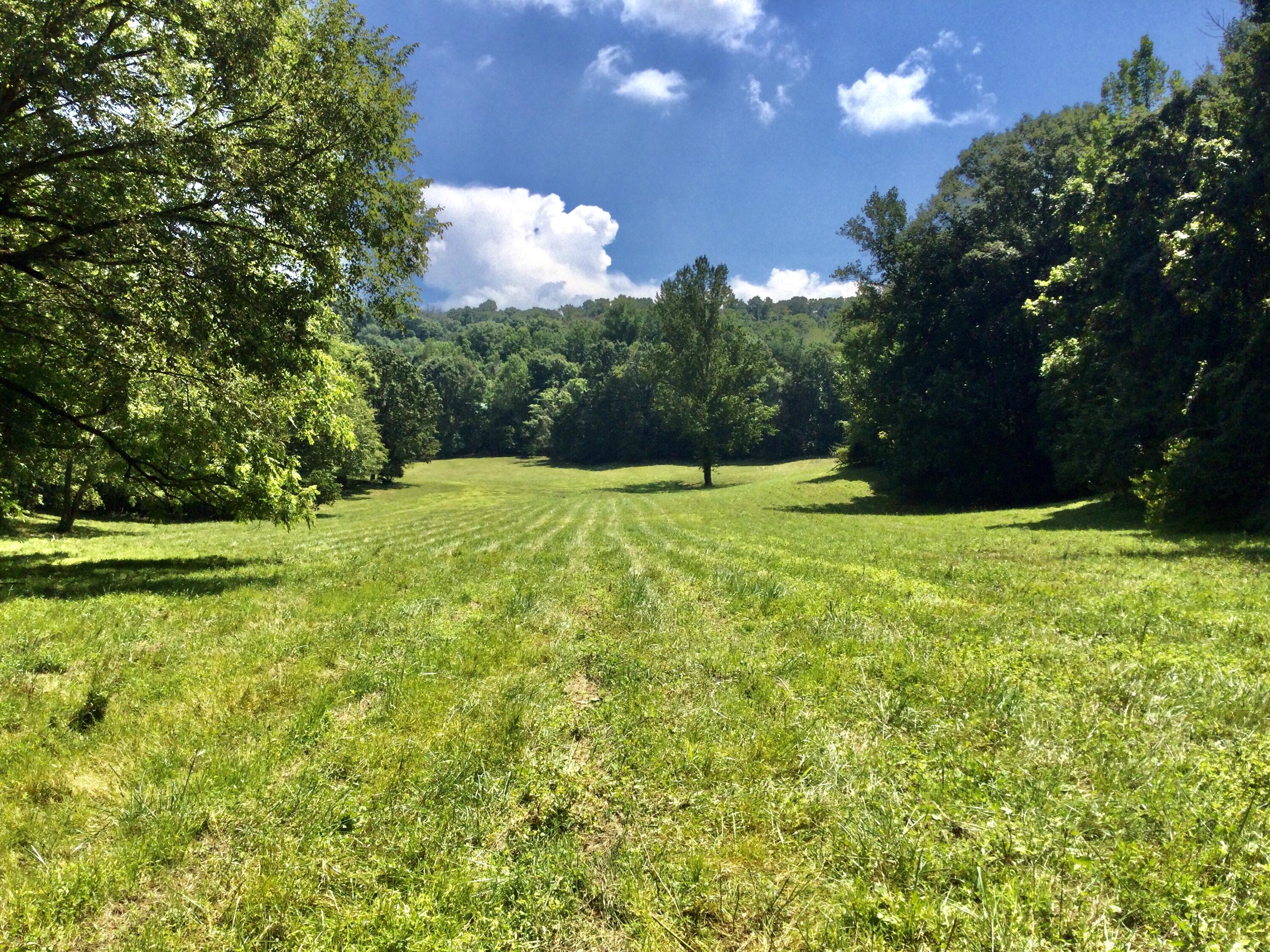 1530 Bales Road Mosheim, TN 37818 - Photo 135 of 173 IMG_2415