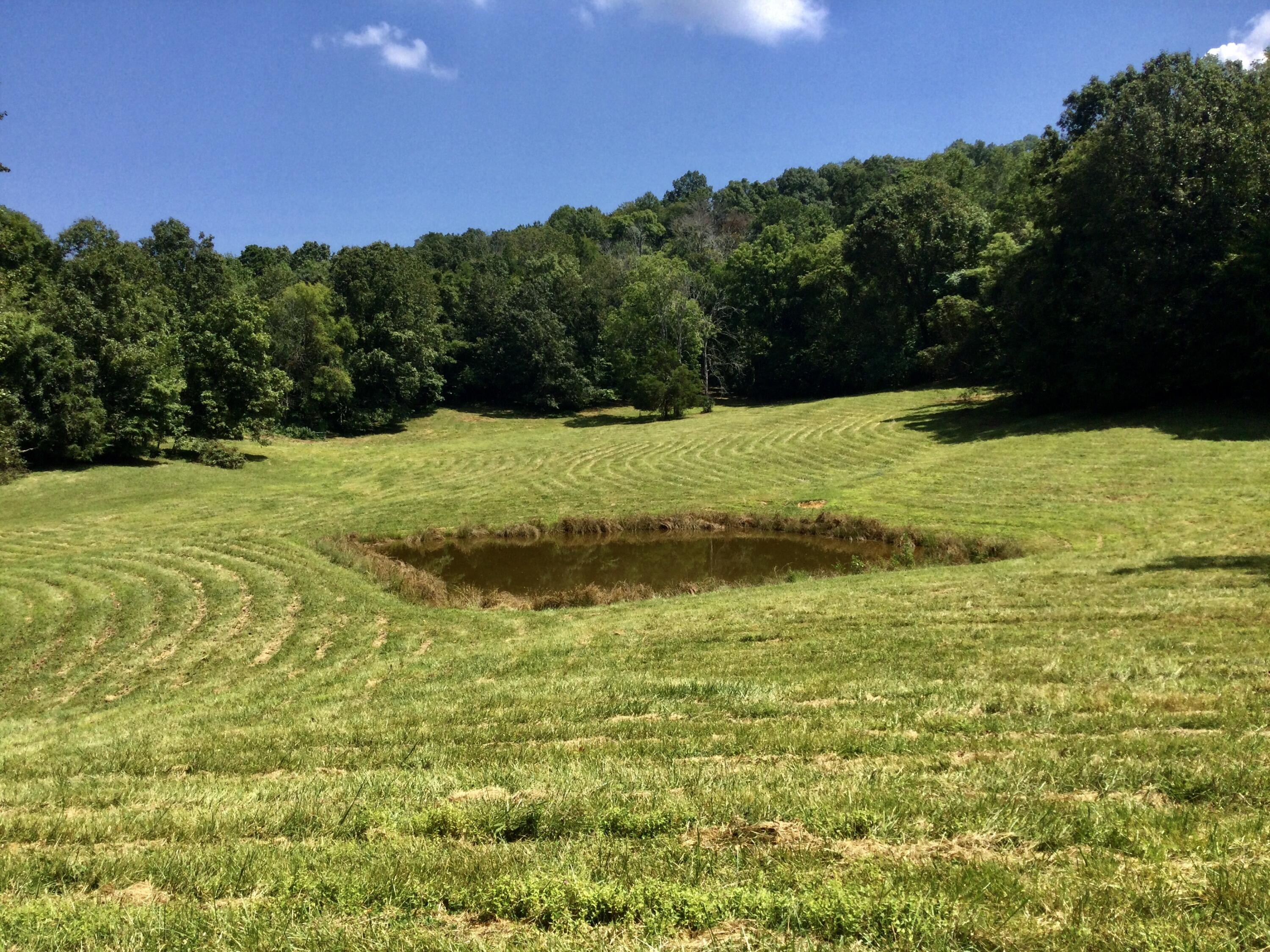 1530 Bales Road Mosheim, TN 37818 - Photo 136 of 173 IMG_2417