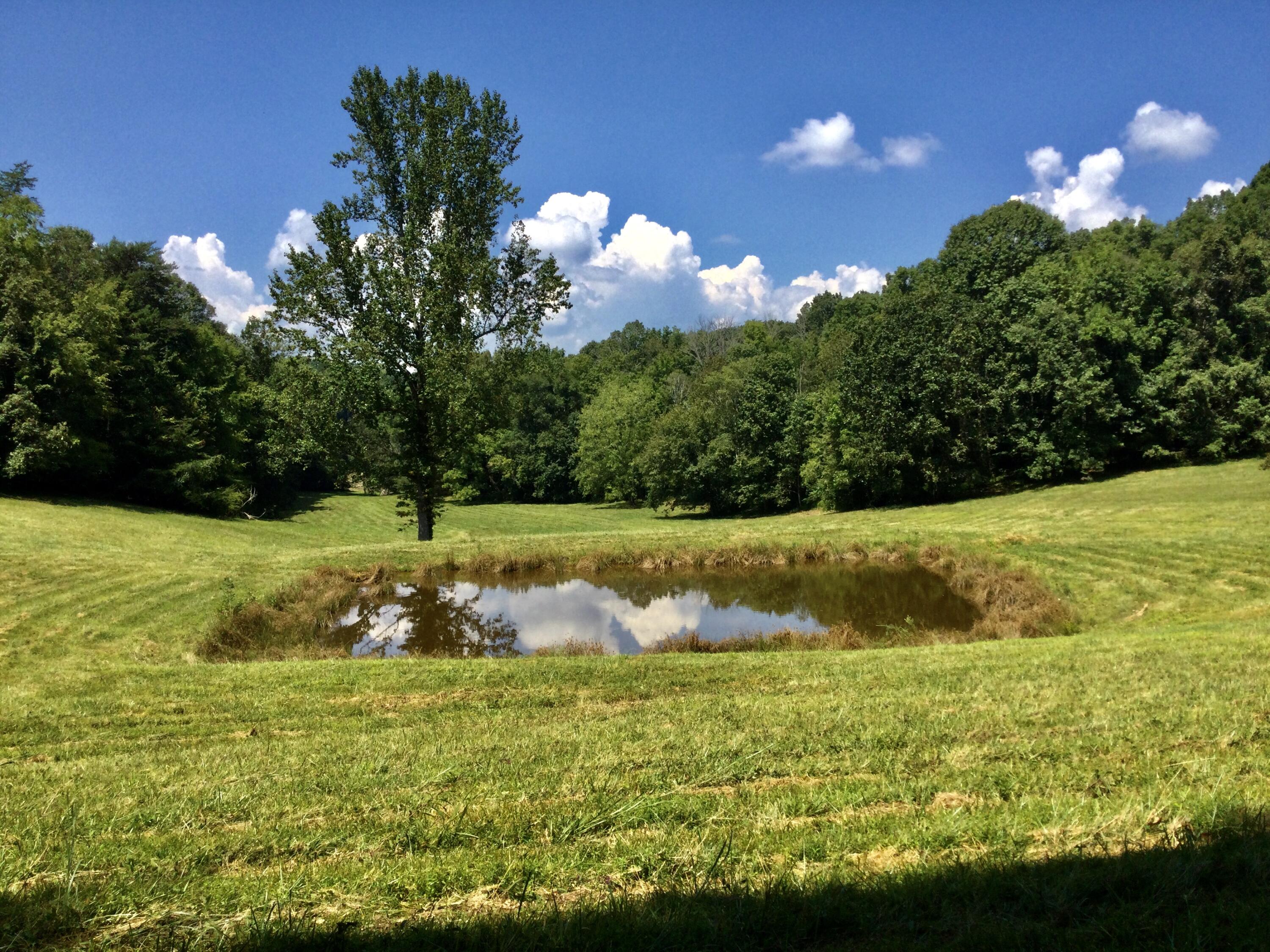 1530 Bales Road Mosheim, TN 37818 - Photo 137 of 173 IMG_2419