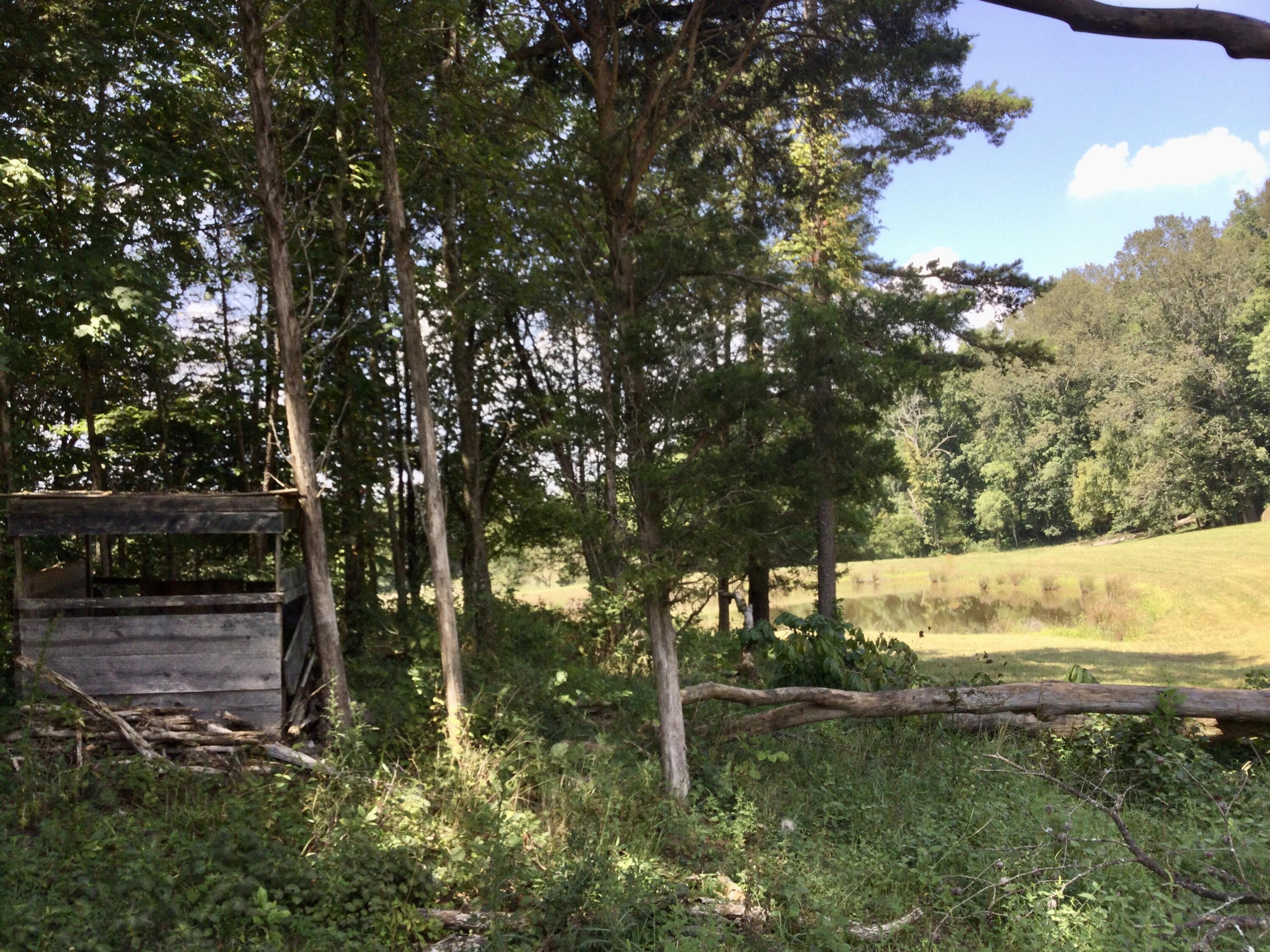 1530 Bales Road Mosheim, TN 37818 - Photo 140 of 173 IMG_2425