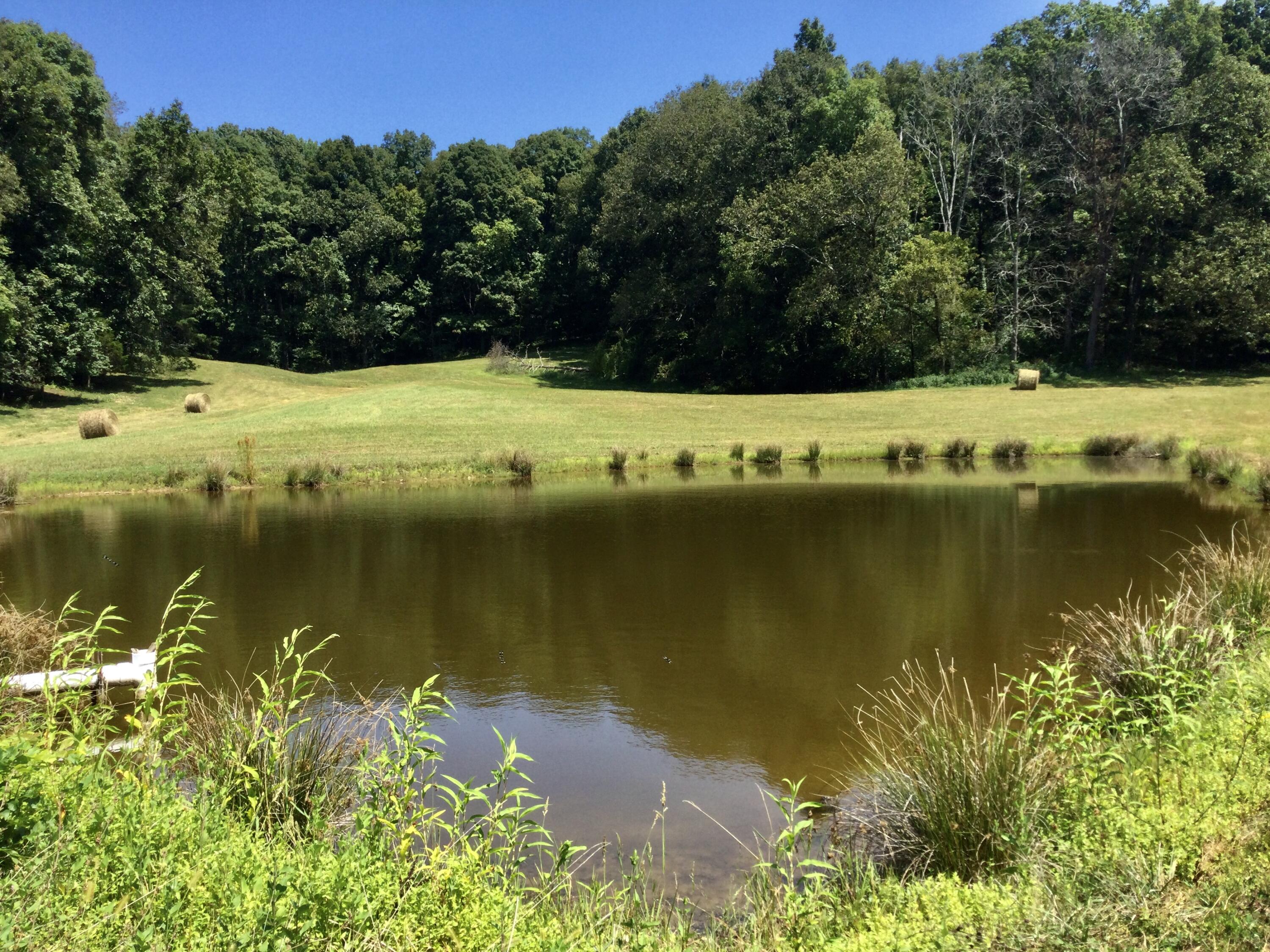 1530 Bales Road Mosheim, TN 37818 - Photo 142 of 173 IMG_2427