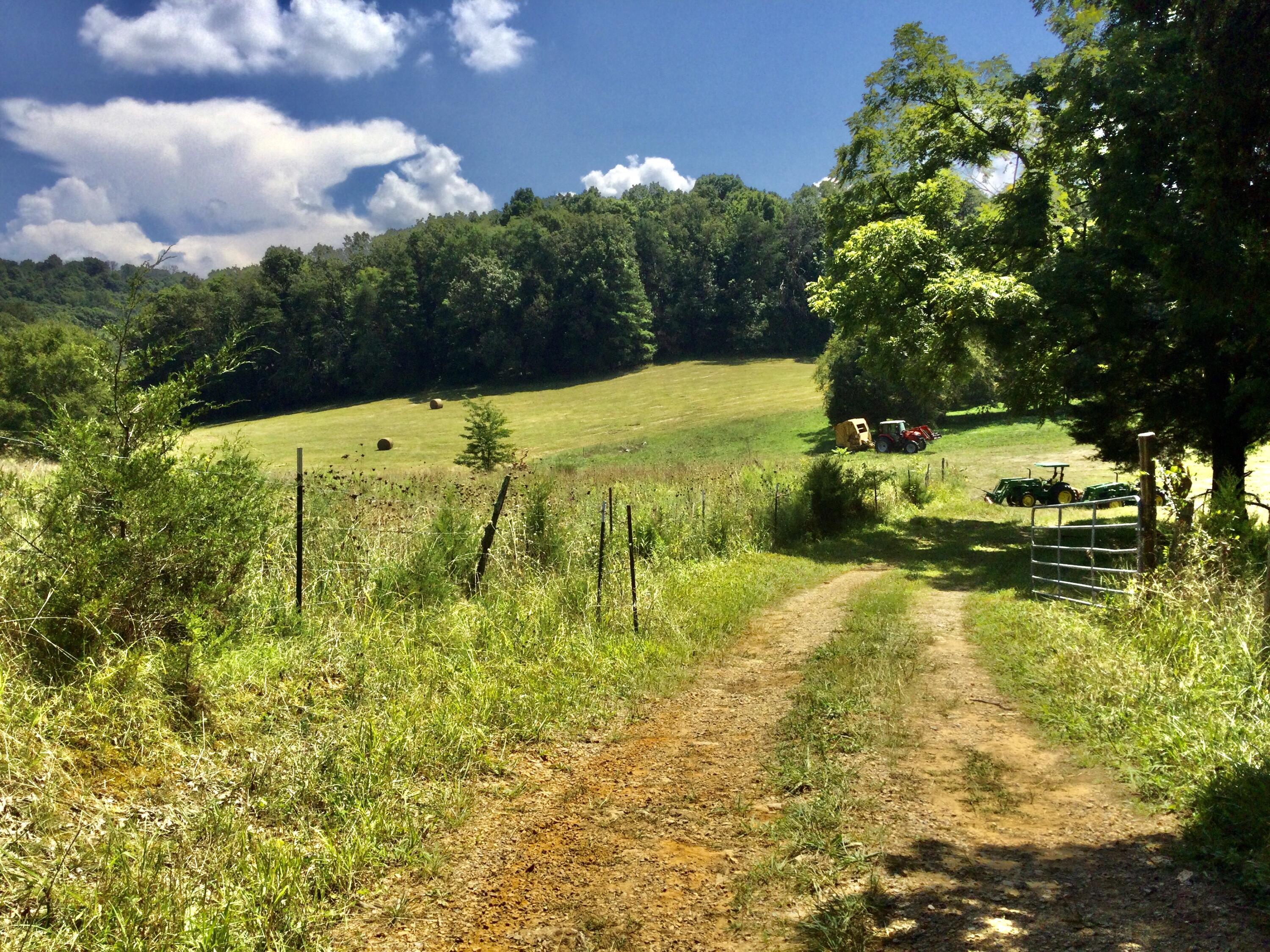 1530 Bales Road Mosheim, TN 37818 - Photo 143 of 173 IMG_2428