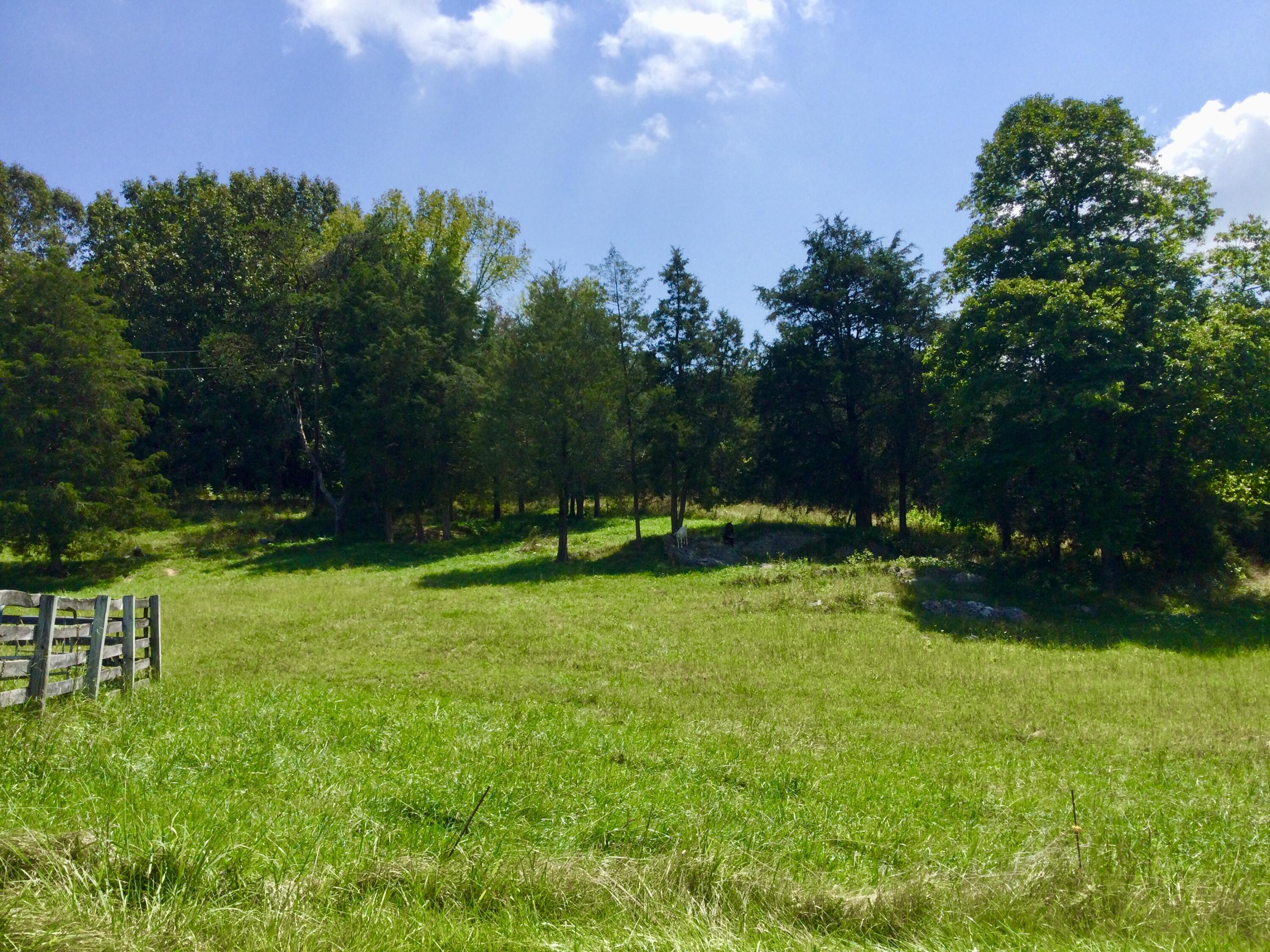 1530 Bales Road Mosheim, TN 37818 - Photo 149 of 173 IMG_2434