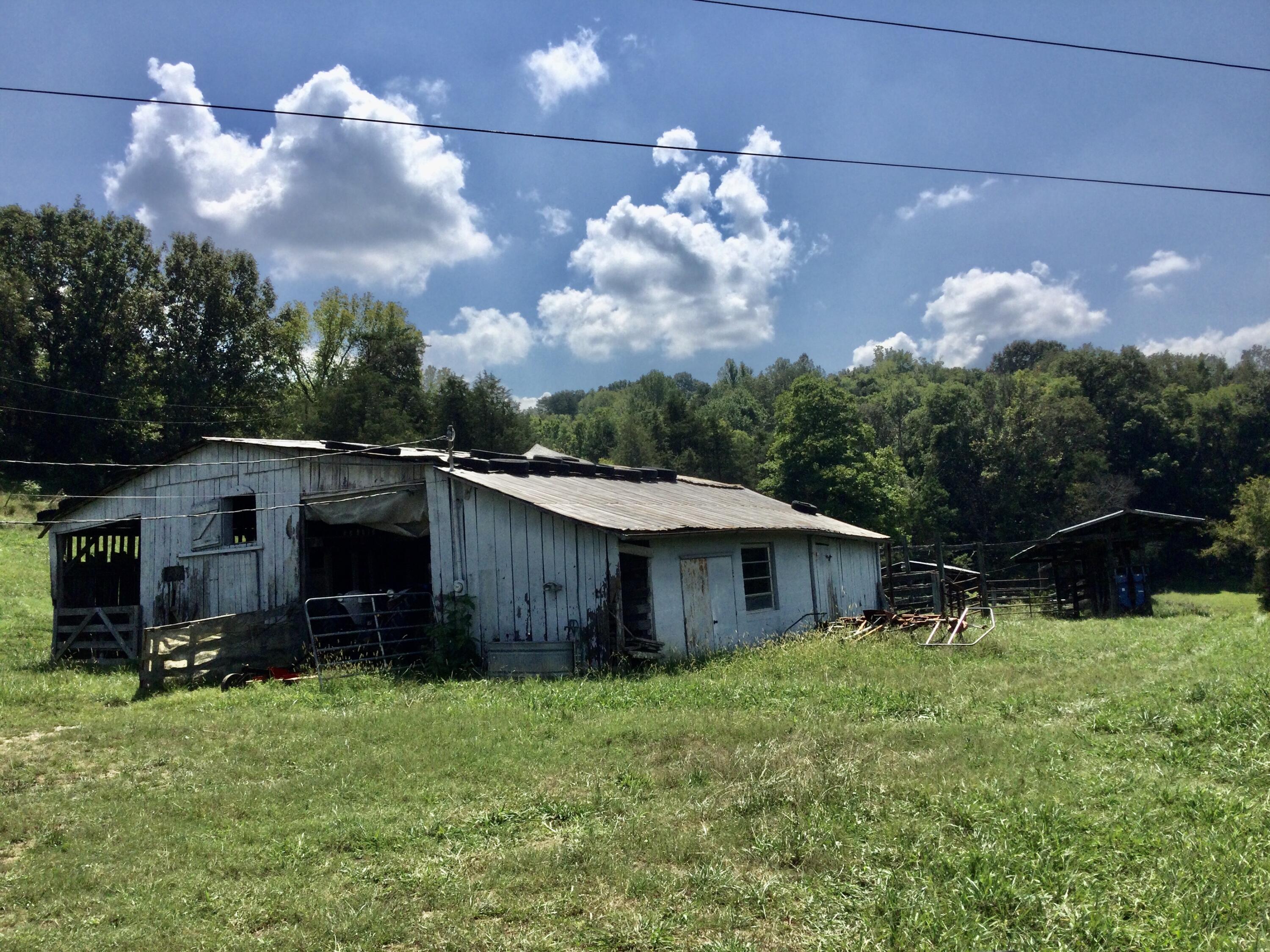 1530 Bales Road Mosheim, TN 37818 - Photo 151 of 173 IMG_2436