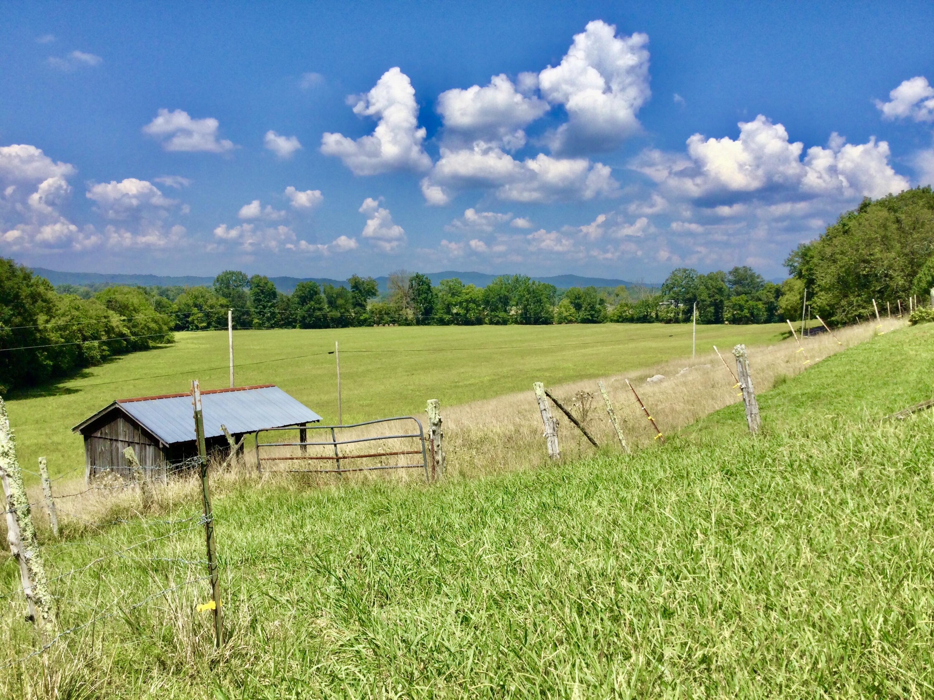 1530 Bales Road Mosheim, TN 37818 - Photo 152 of 173 IMG_2437