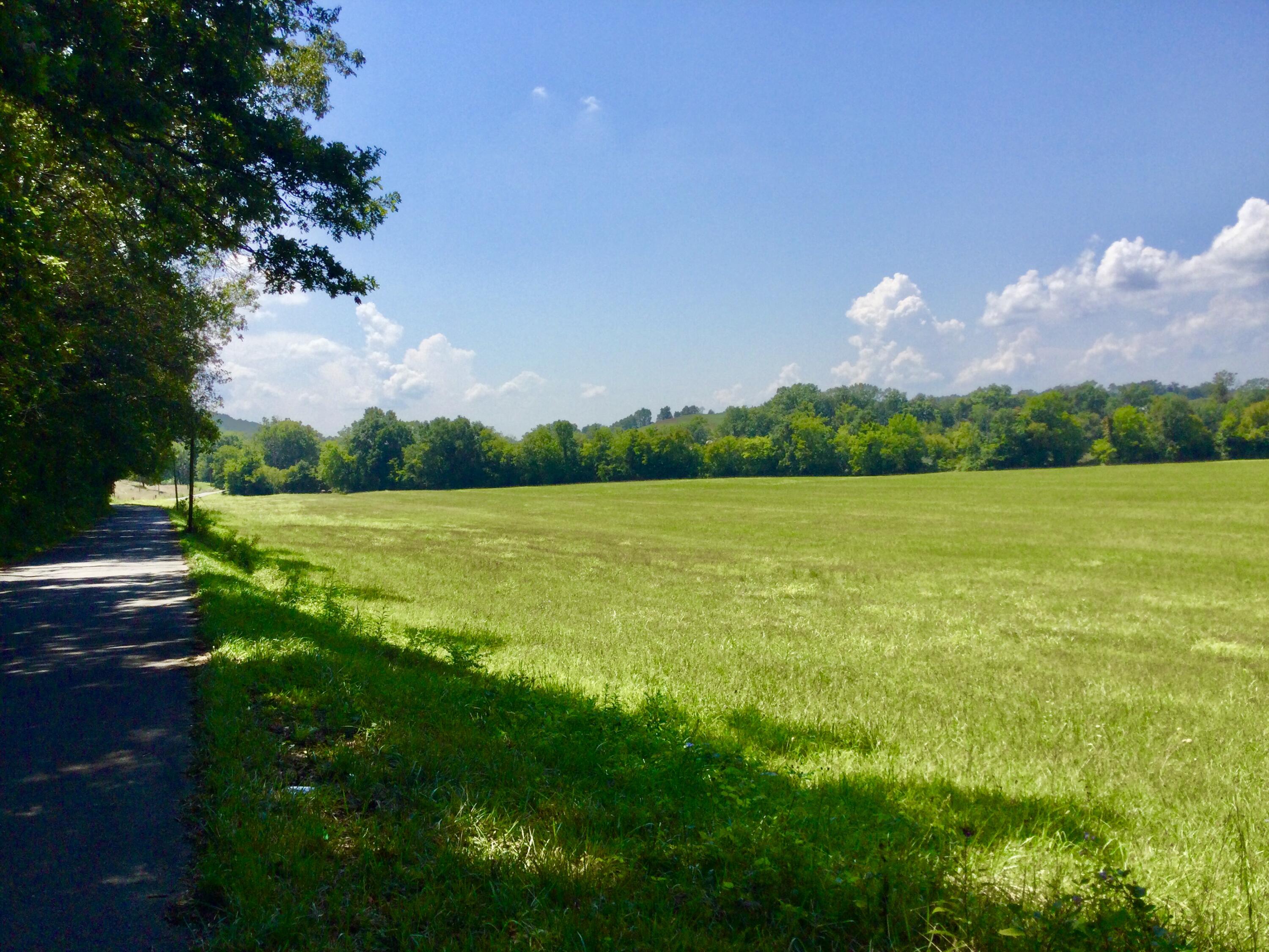 1530 Bales Road Mosheim, TN 37818 - Photo 153 of 173 IMG_2438