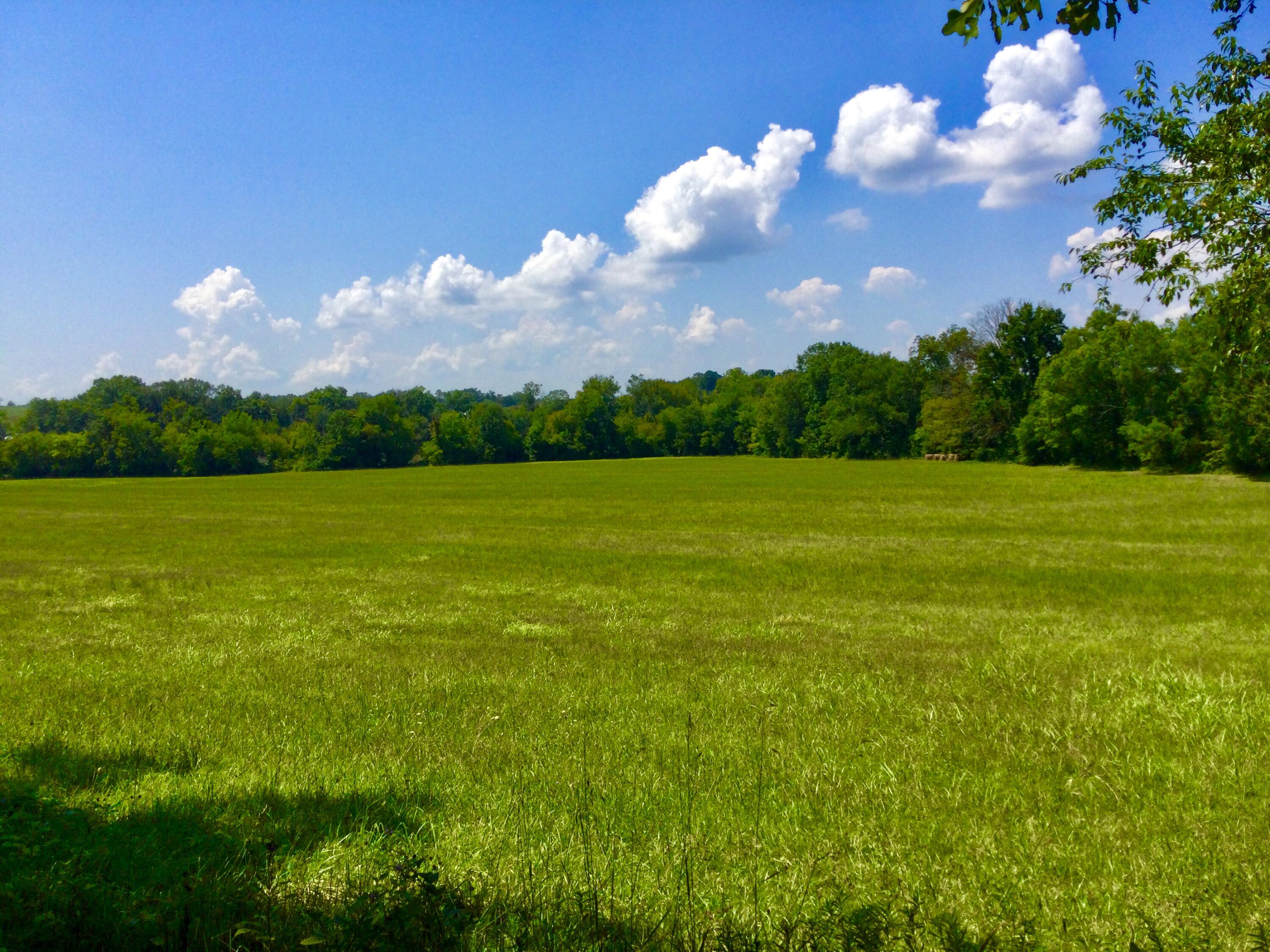 1530 Bales Road Mosheim, TN 37818 - Photo 154 of 173 IMG_2439