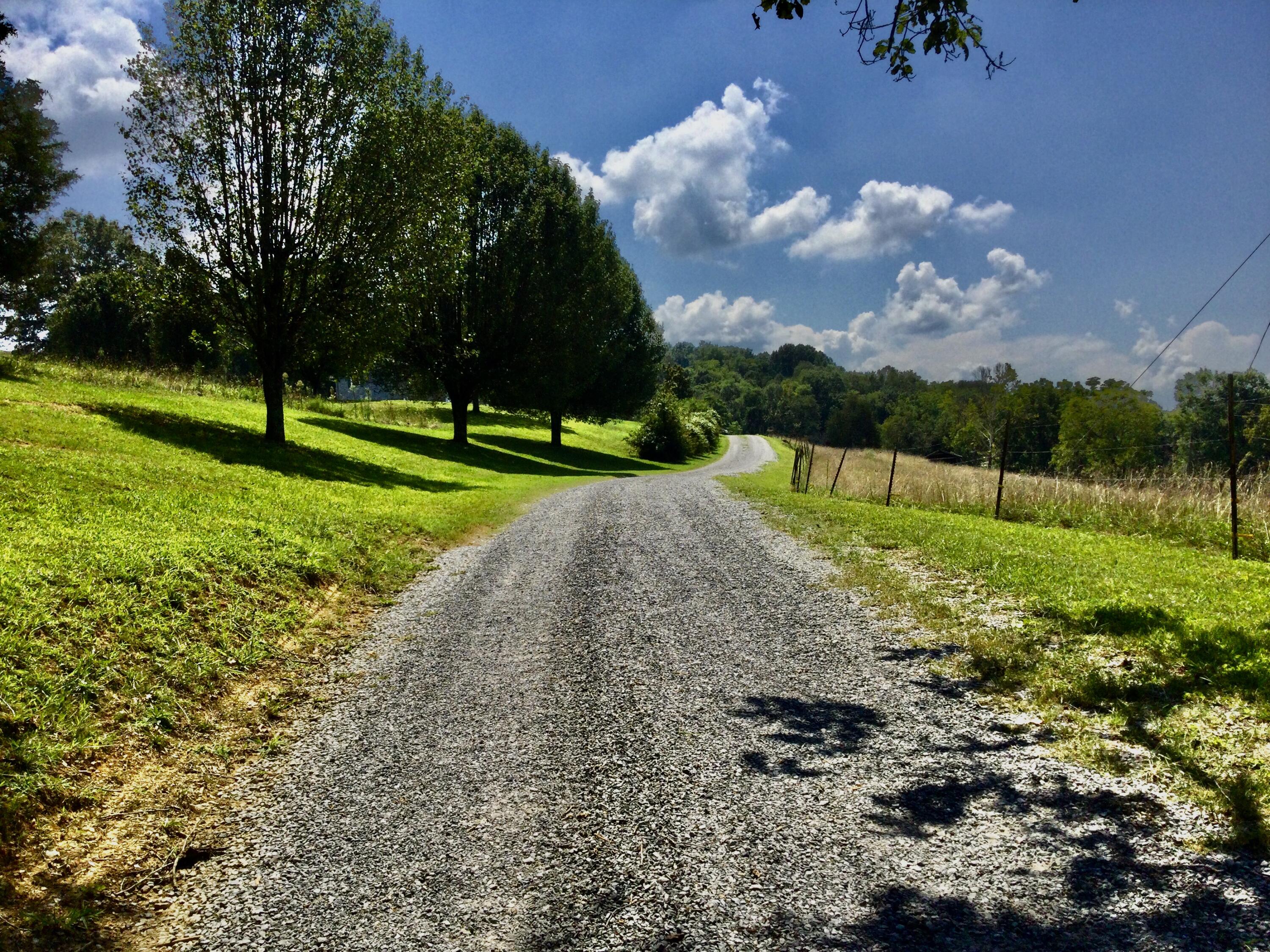 1530 Bales Road Mosheim, TN 37818 - Photo 156 of 173 IMG_2441
