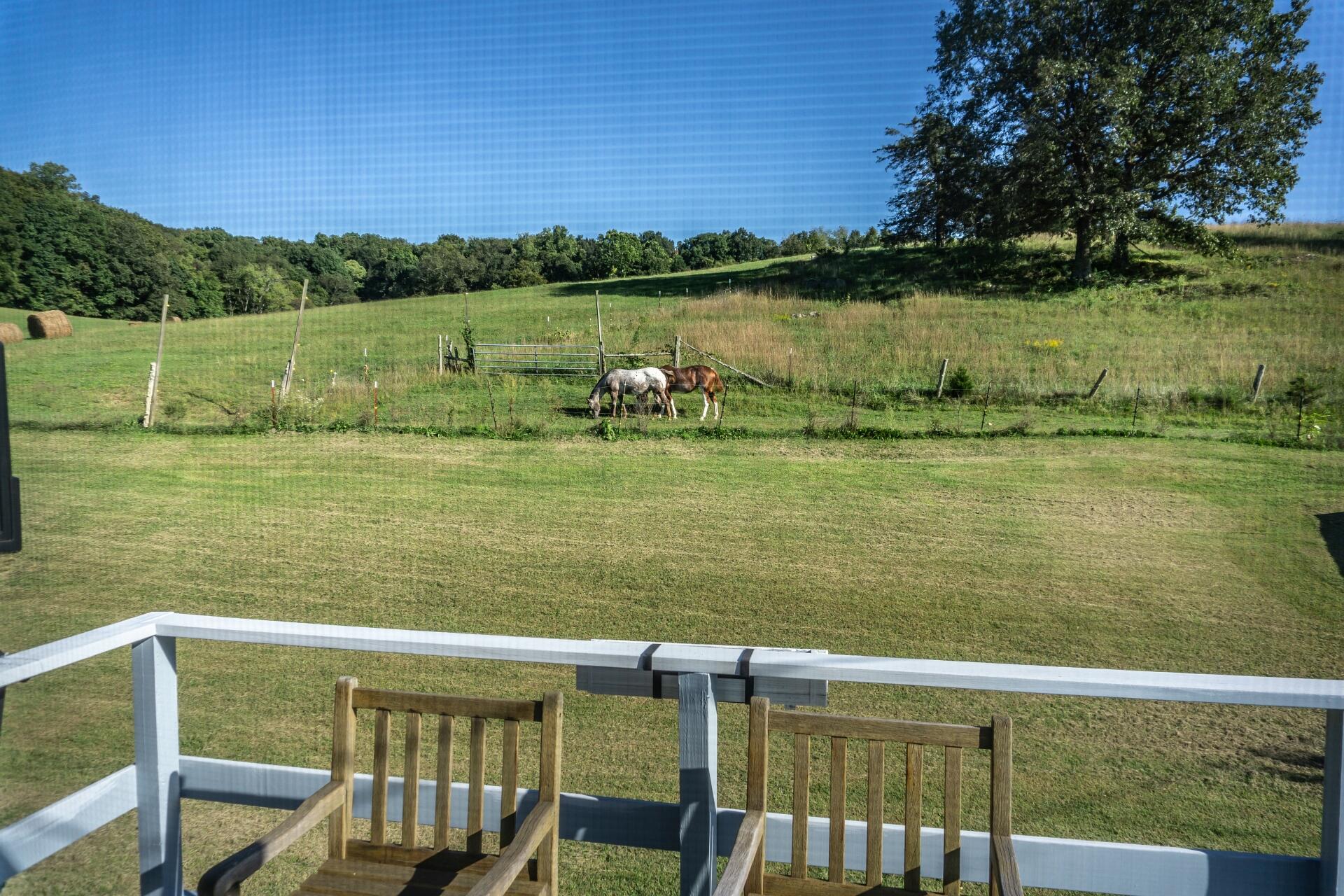 1530 Bales Road Mosheim, TN 37818 - Photo 33 of 173 1530IronBridgeM_029