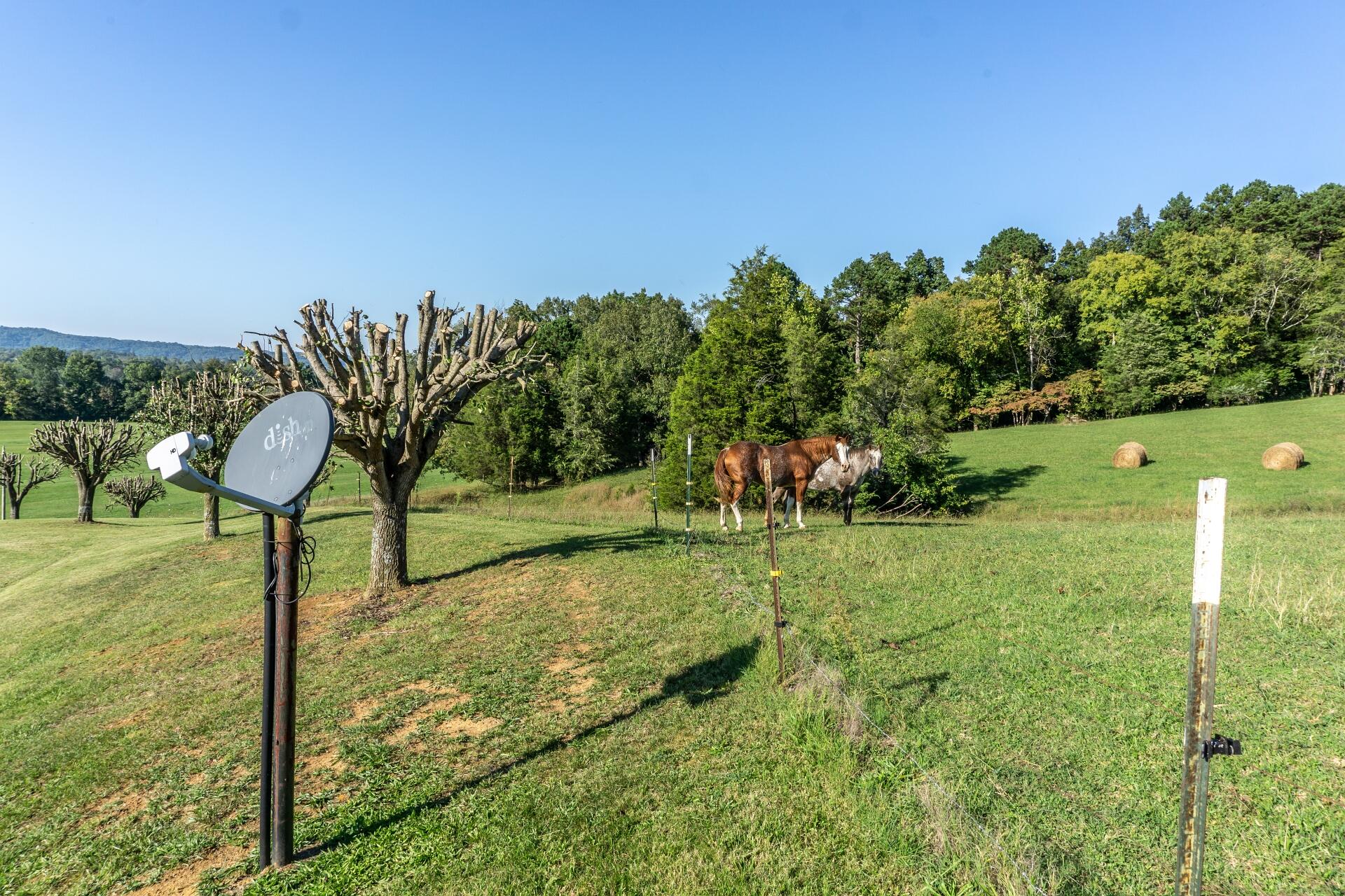 1530 Bales Road Mosheim, TN 37818 - Photo 60 of 173 1530IronBridgeM_059
