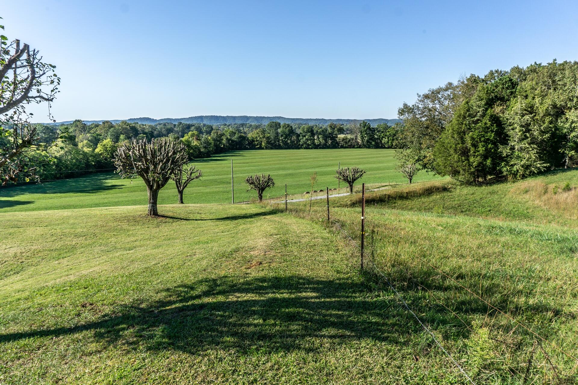 1530 Bales Road Mosheim, TN 37818 - Photo 64 of 173 1530IronBridgeM_061