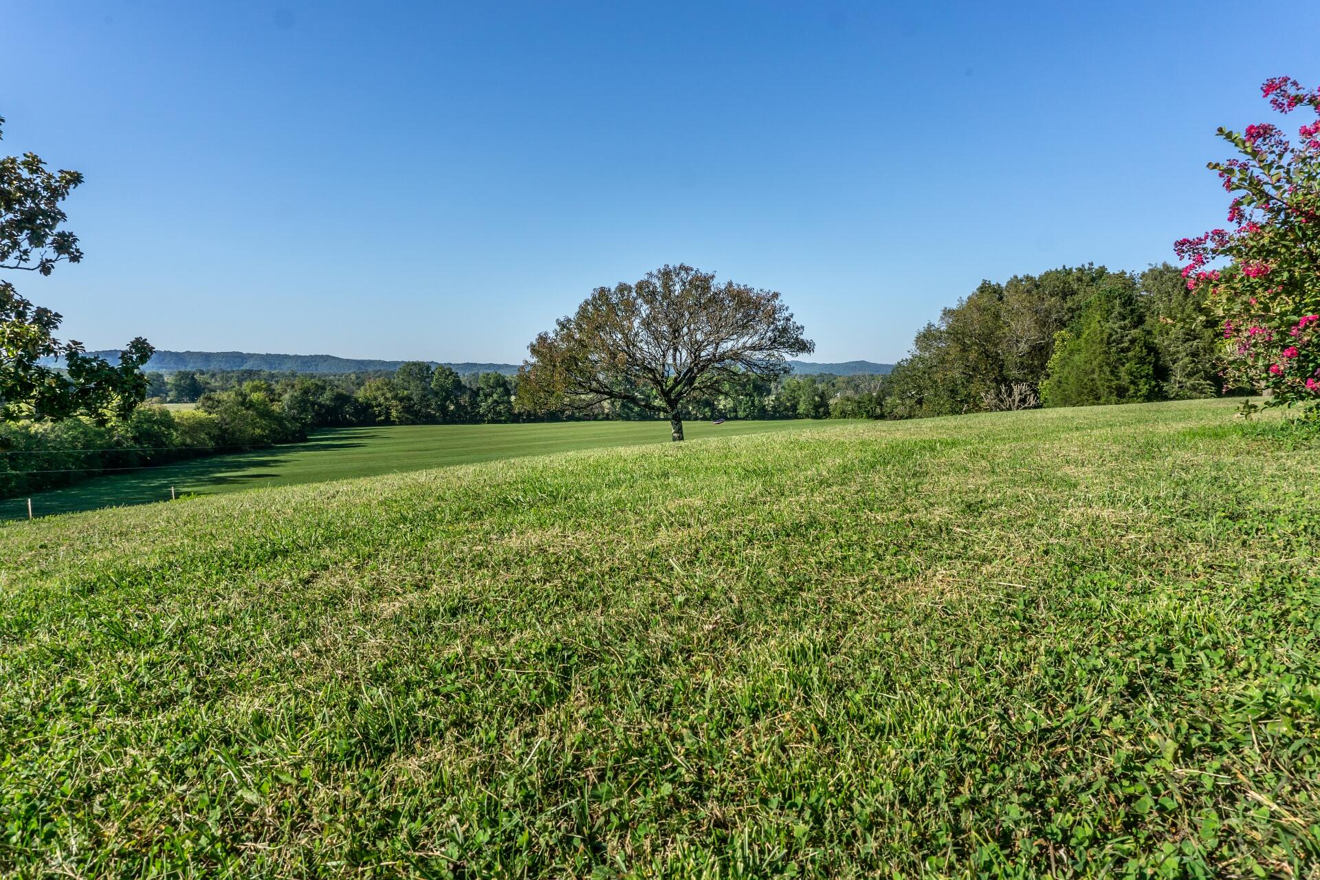 1530 Bales Road Mosheim, TN 37818 - Photo 66 of 173 1530IronBridgeM_066