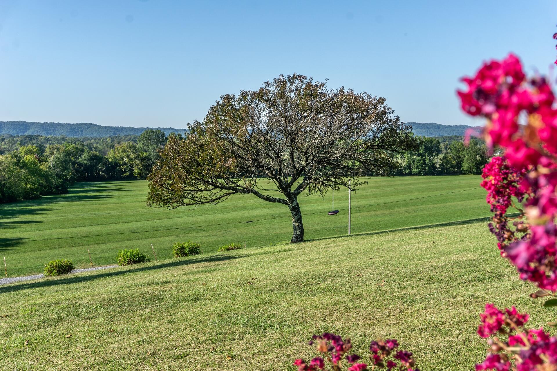 1530 Bales Road Mosheim, TN 37818 - Photo 72 of 173 1530IronBridgeM_069
