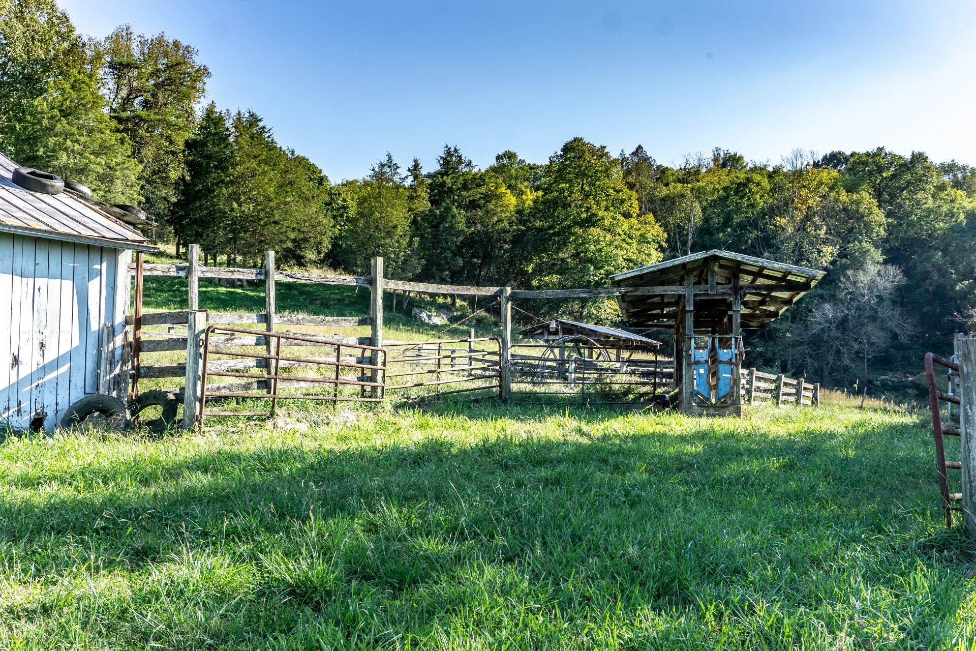 1530 Bales Road Mosheim, TN 37818 - Photo 84 of 173 1530IronBridgeM_077