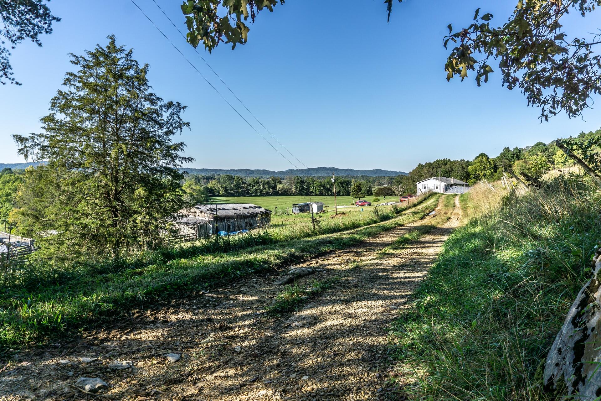 1530 Bales Road Mosheim, TN 37818 - Photo 86 of 173 1530IronBridgeM_079