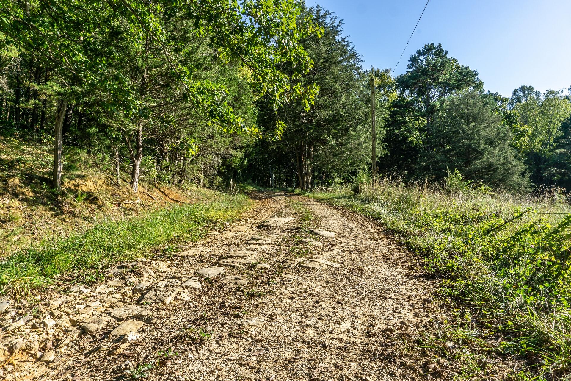 1530 Bales Road Mosheim, TN 37818 - Photo 87 of 173 1530IronBridgeM_080