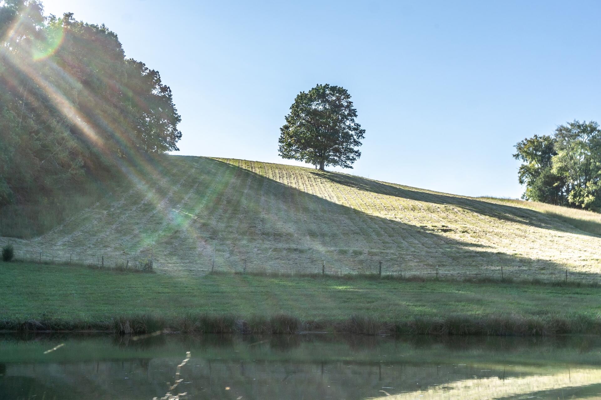 1530 Bales Road Mosheim, TN 37818 - Photo 88 of 173 1530IronBridgeM_081