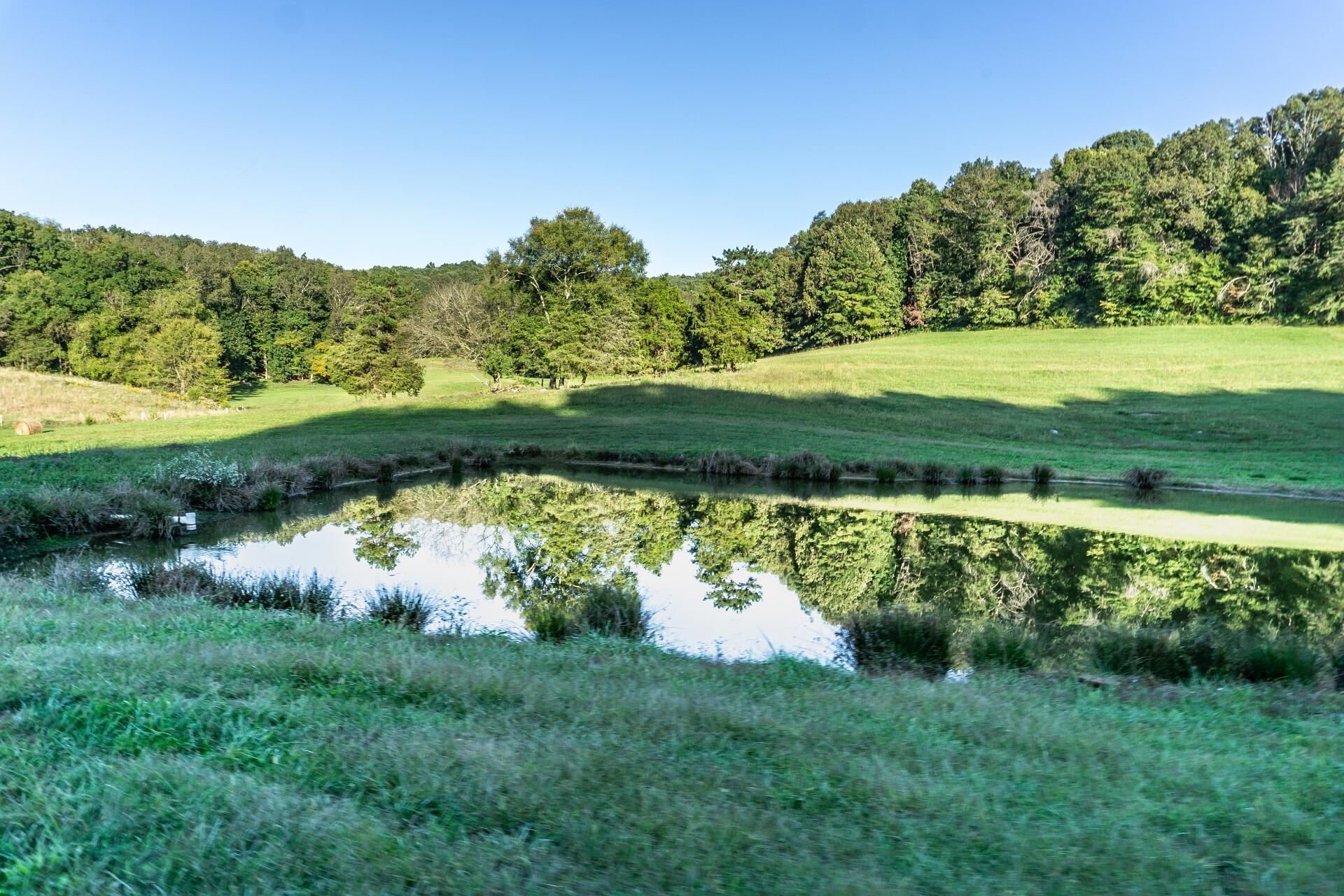 1530 Bales Road Mosheim, TN 37818 - Photo 89 of 173 1530IronBridgeM_083