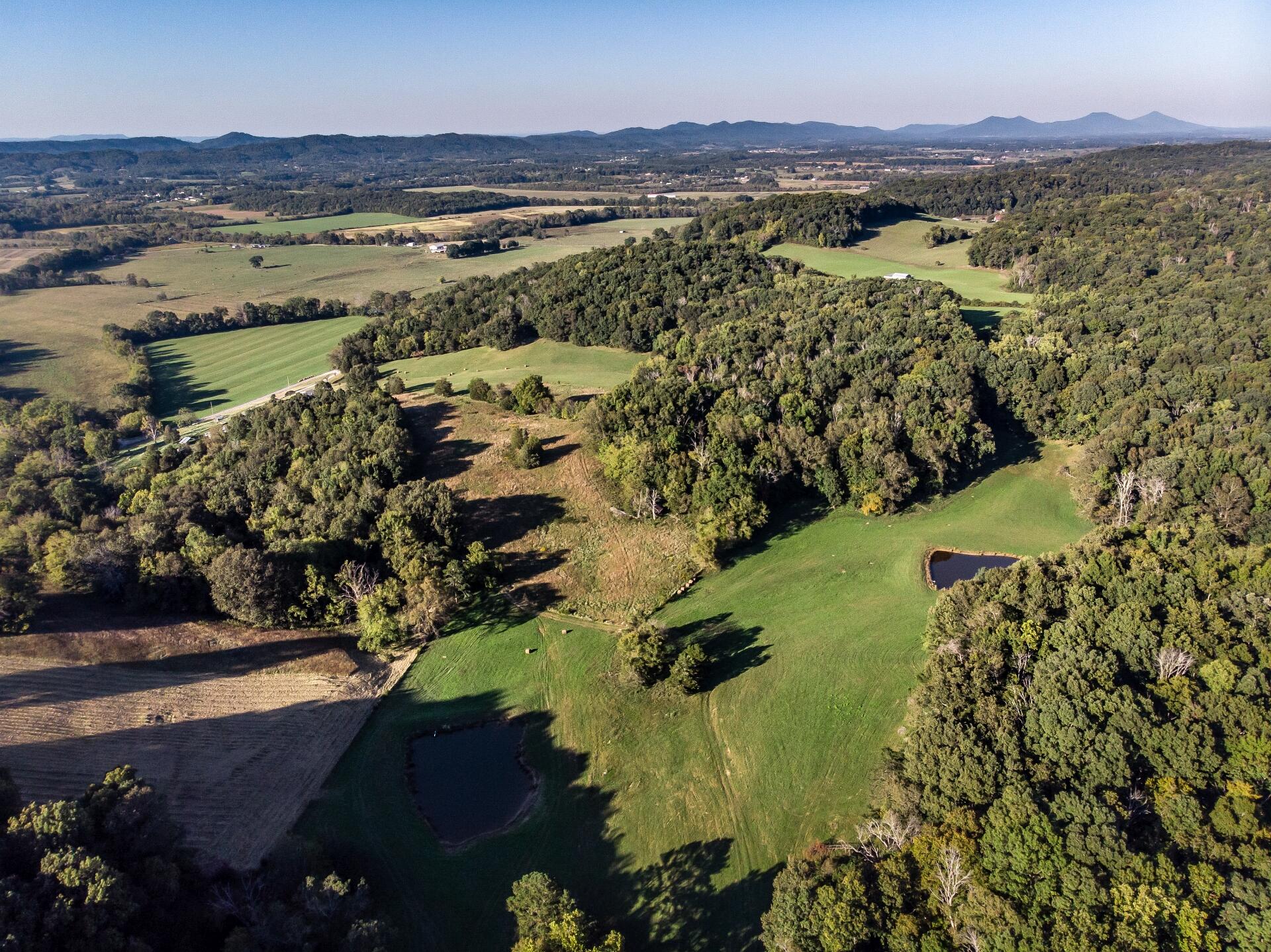 1530 Bales Road Mosheim, TN 37818 - Photo 94 of 173 1530IronBridgeM-air_001