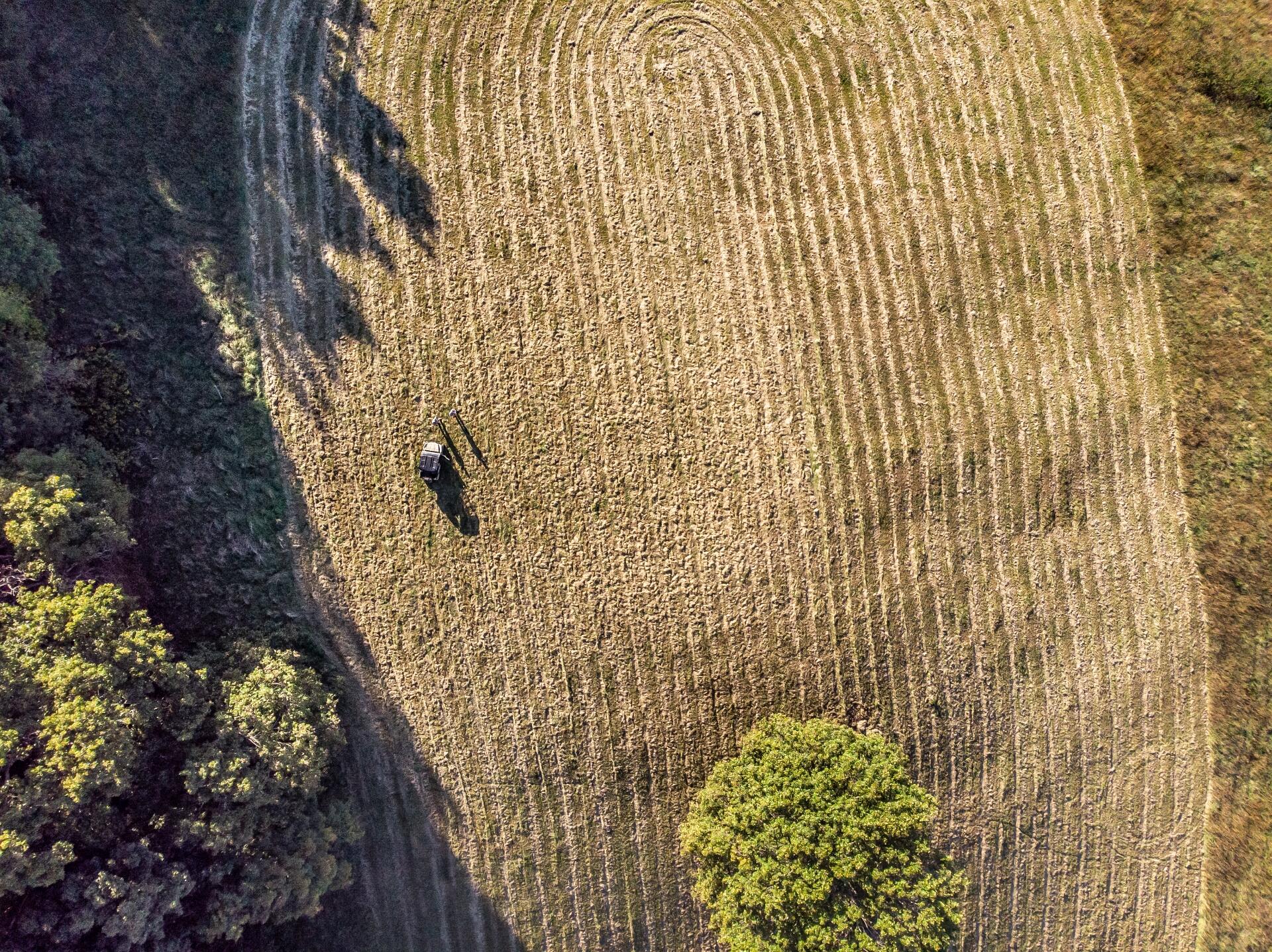 1530 Bales Road Mosheim, TN 37818 - Photo 95 of 173 1530IronBridgeM-air_002