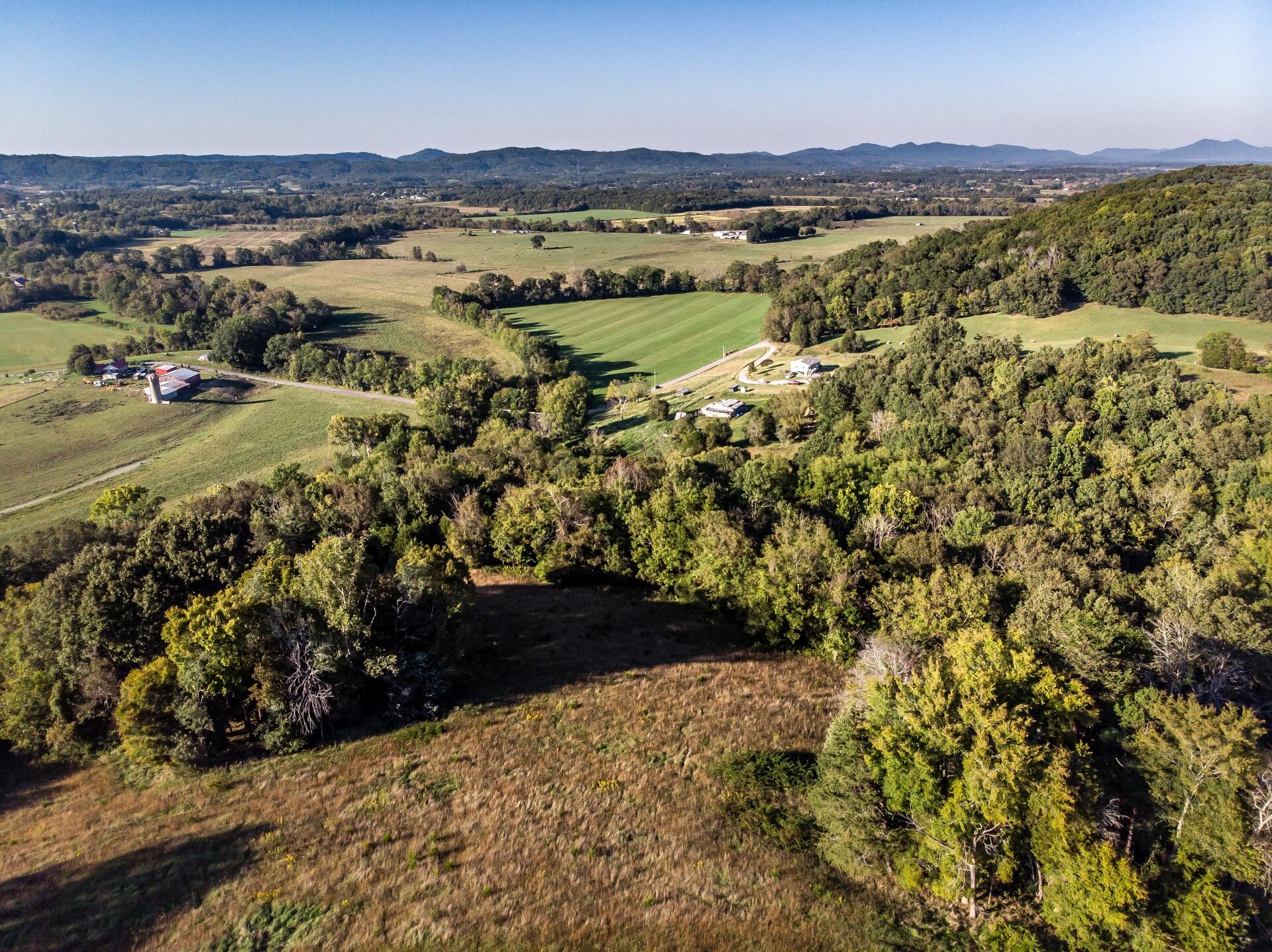 1530 Bales Road Mosheim, TN 37818 - Photo 96 of 173 1530IronBridgeM-air_003