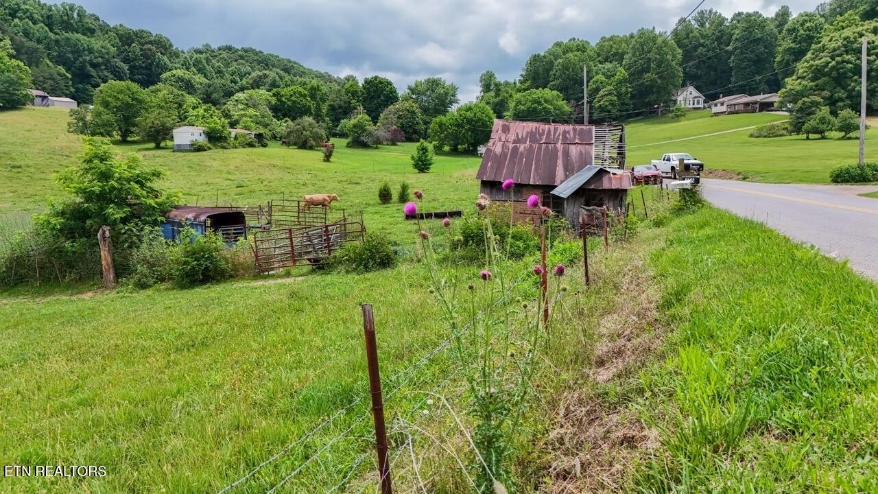 5 Frog Level Road Johnson City, TN 37615 - Photo 13 of 19