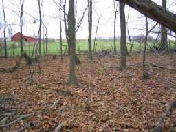 515 Rockmill Road Northwest Lancaster, OH 43130 - Photo 3 of 4