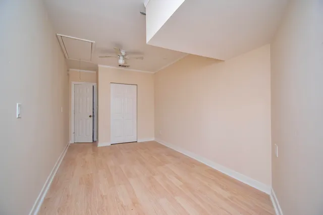 a view of a park with large trees